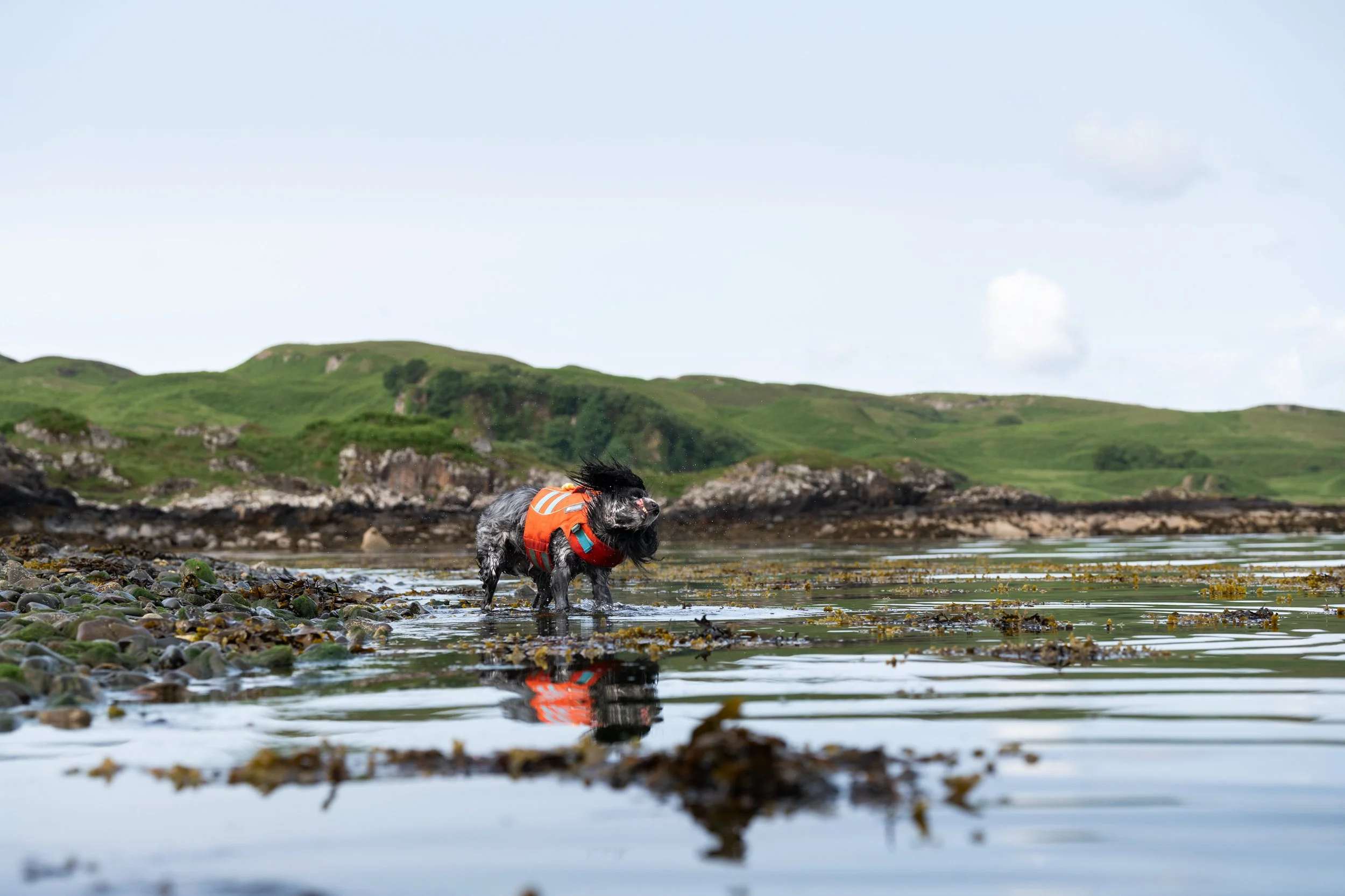 Look back 2025 _03.jpg