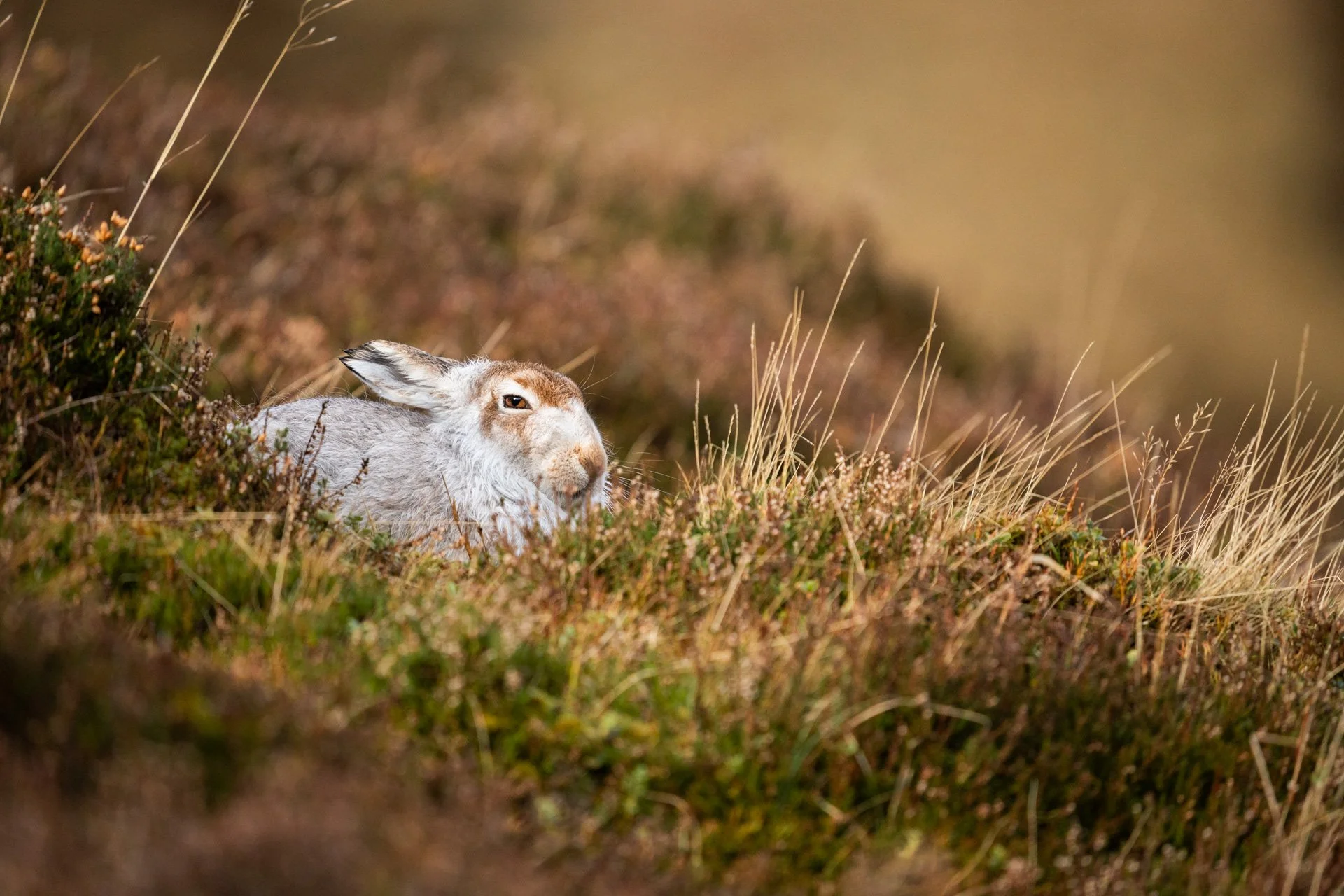 Winter Tour Day 2 _11.jpg