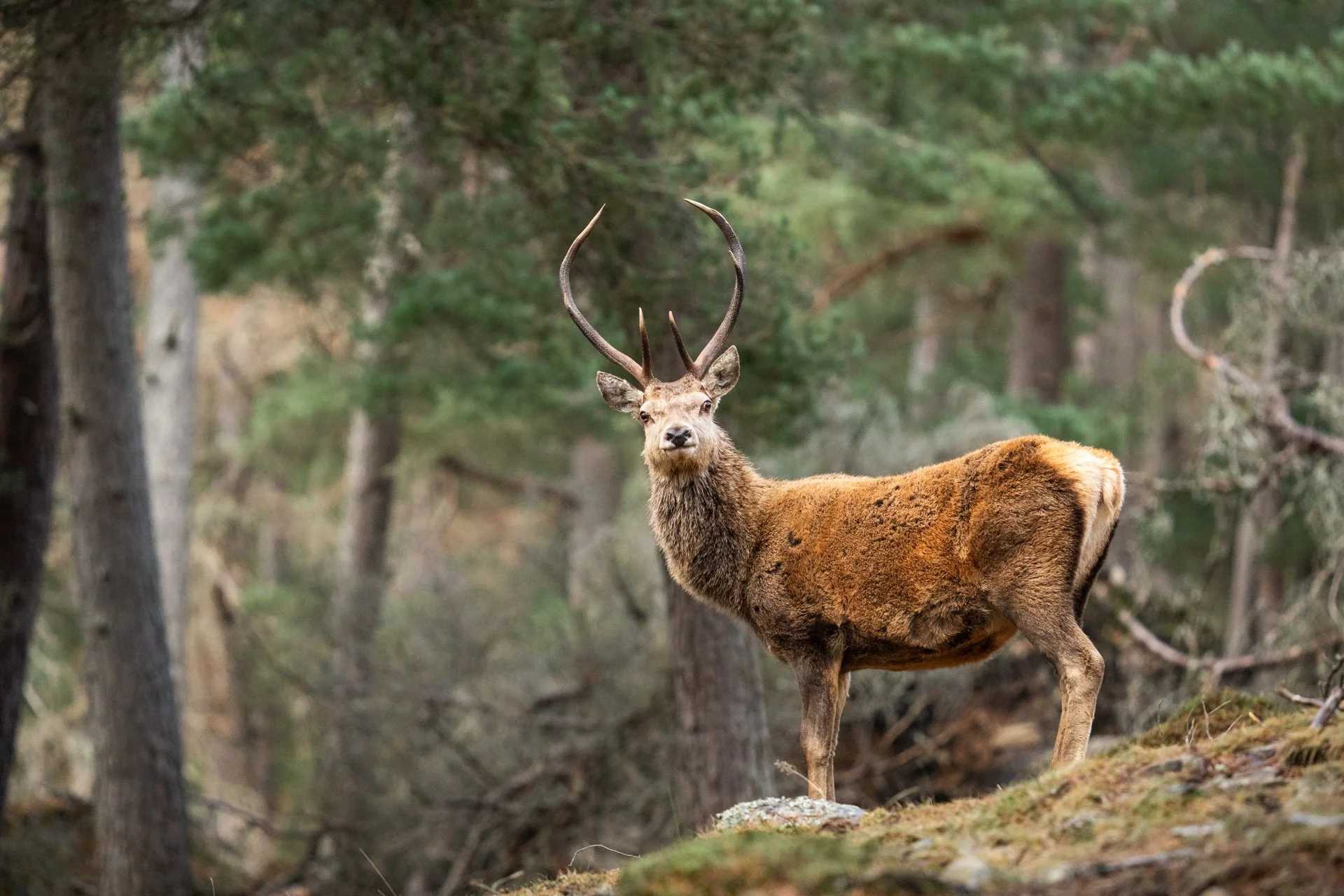 Wildlife Tour Day 3 _21.jpg