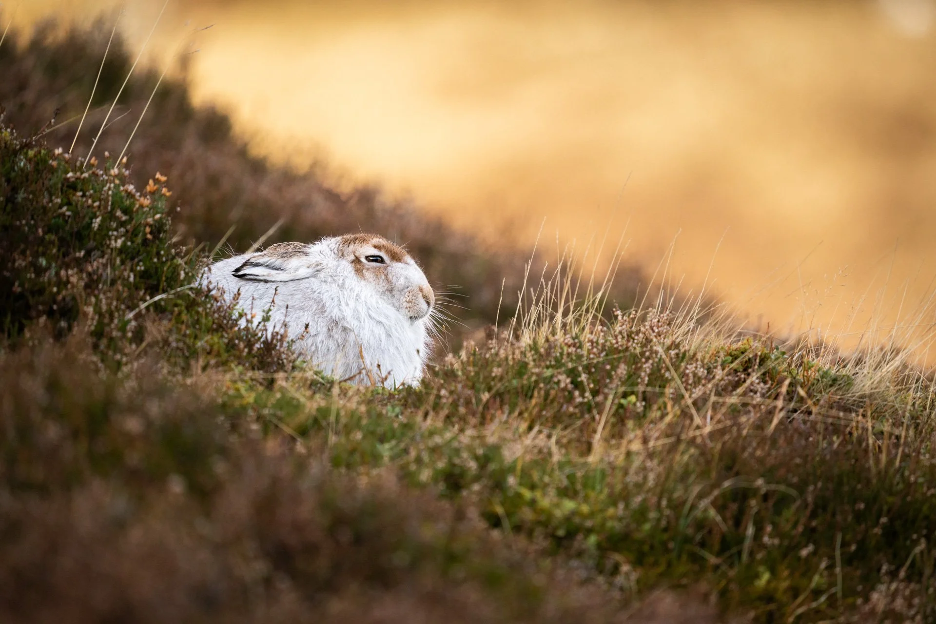 Winter Tour Day 2 _20.jpg