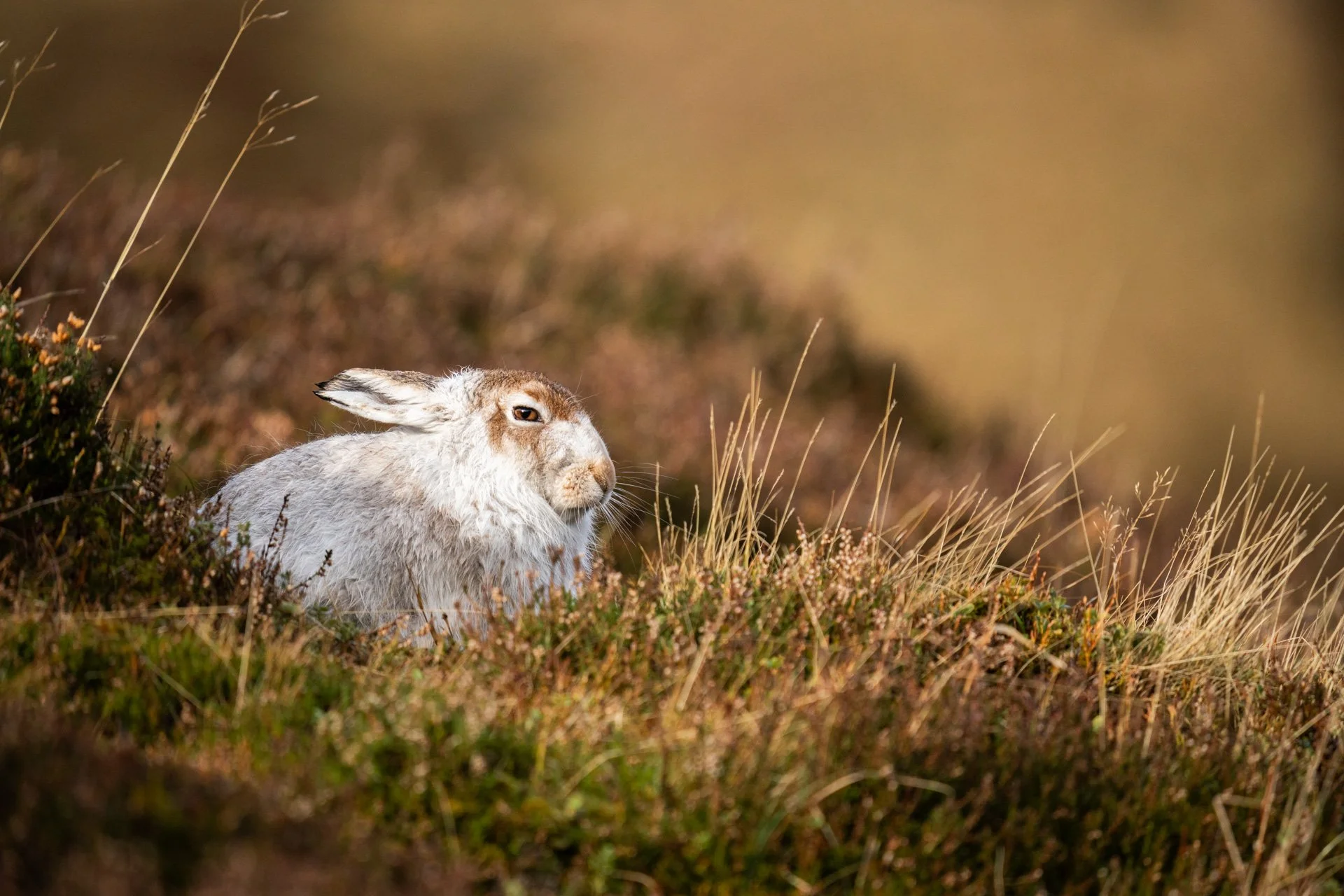 Winter Tour Day 2 _14.jpg