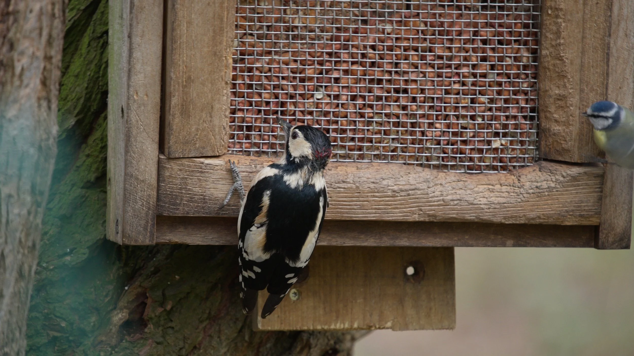 Venus pools_2.17.1.jpg