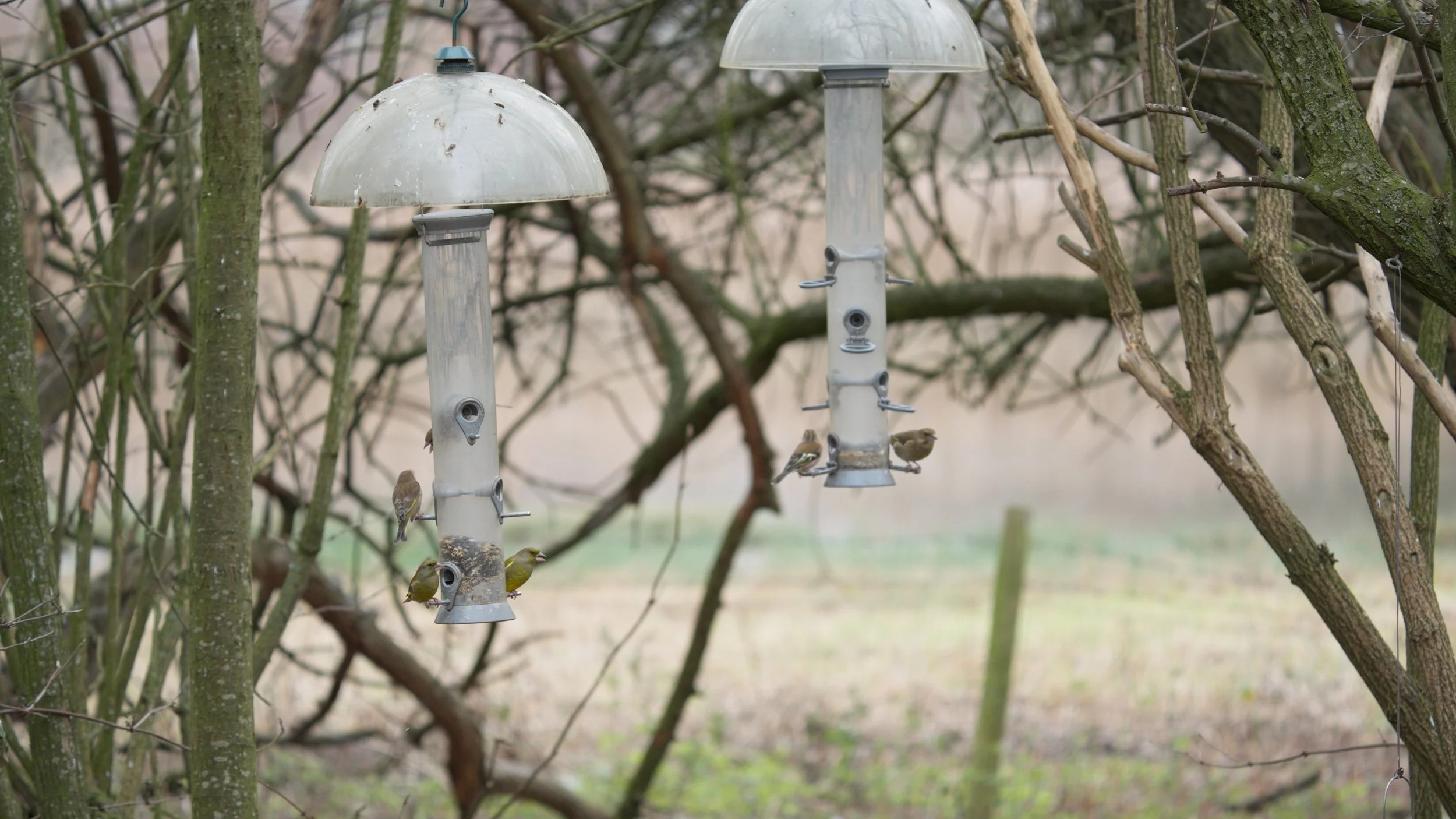 Venus pools_2.13.1.jpg