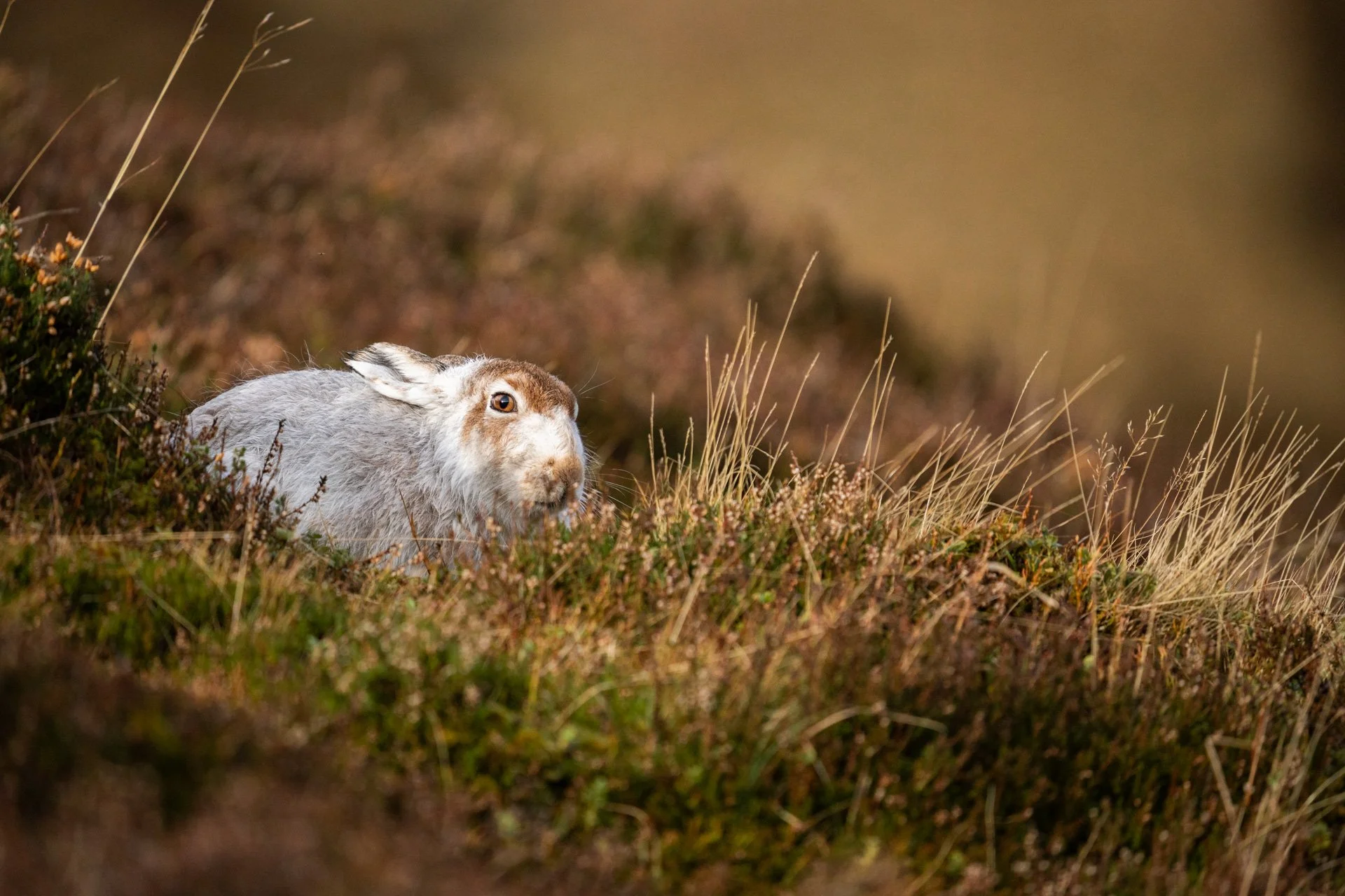 Winter Tour Day 2 _13.jpg