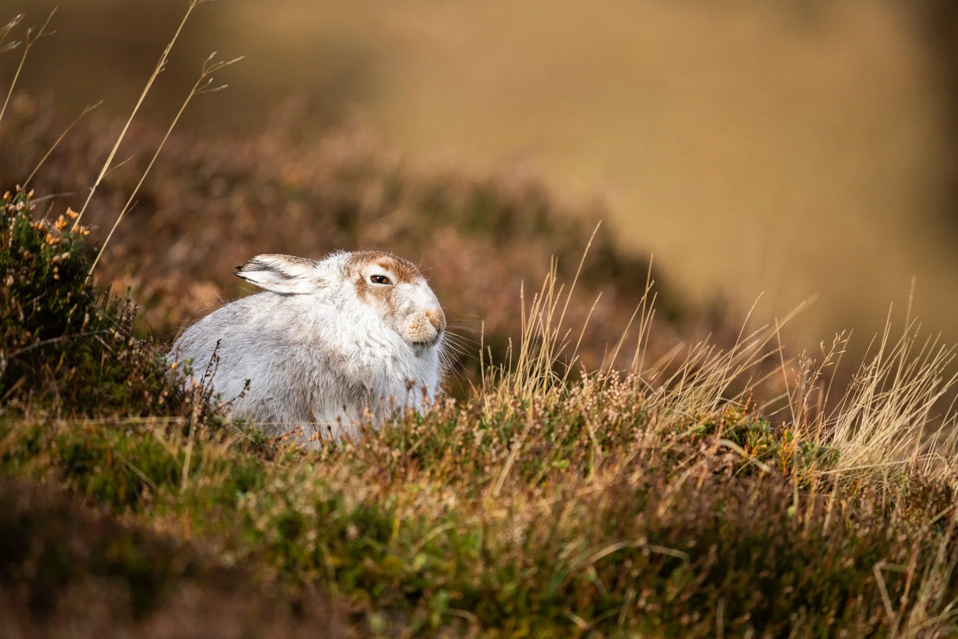 Winter Tour Day 2 _15.jpg