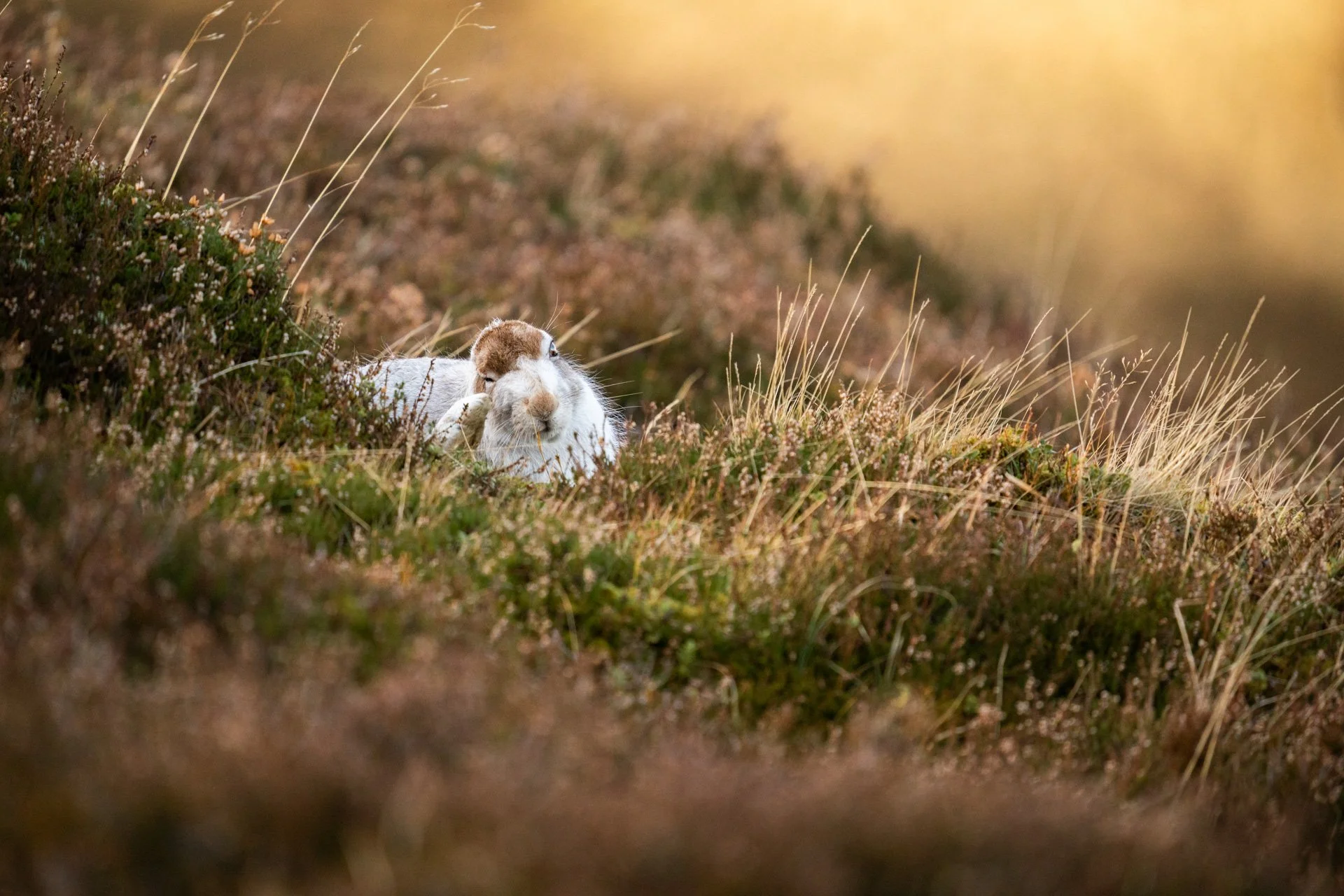 Winter Tour Day 2 _24.jpg