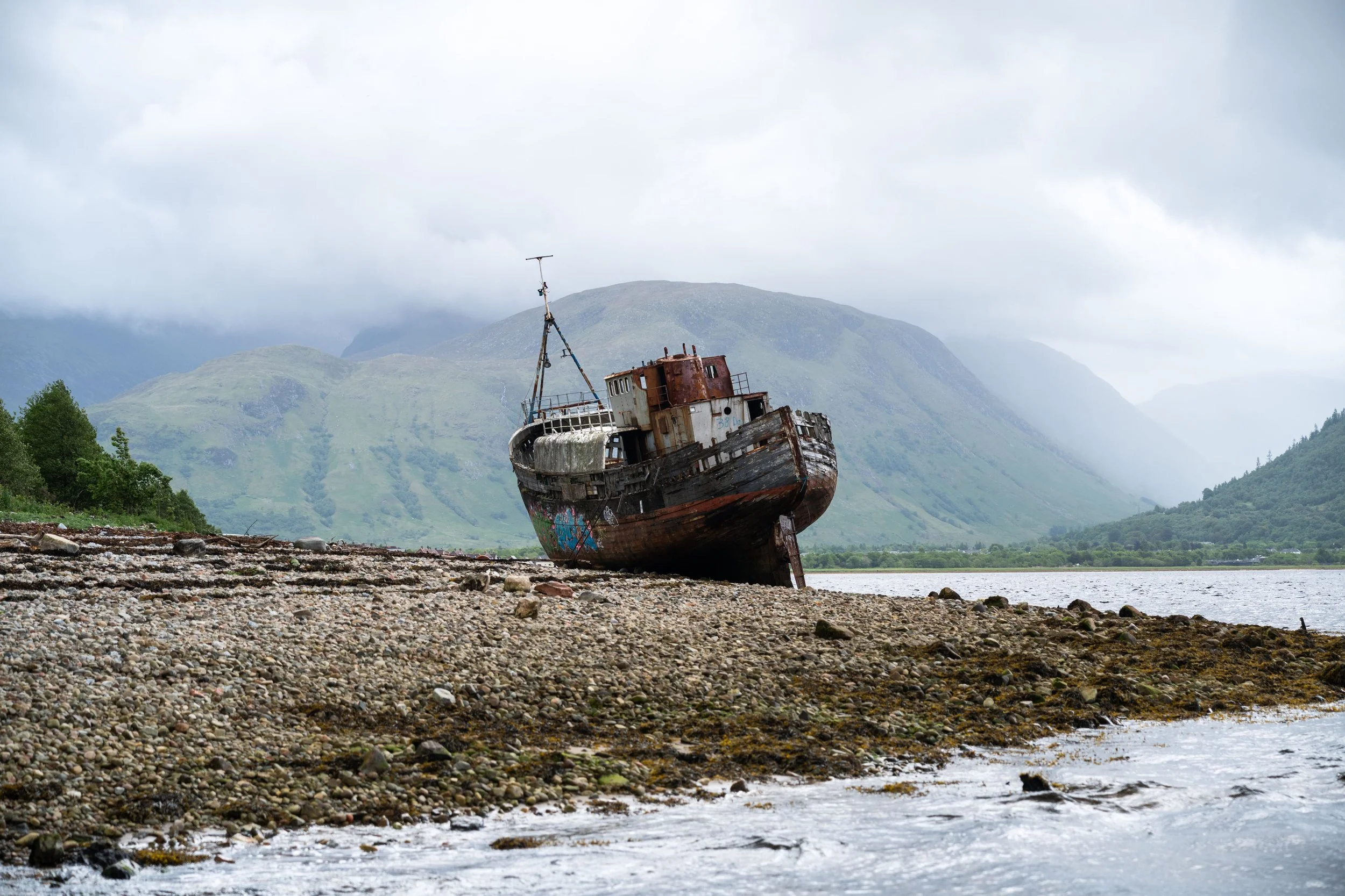 Look back 2025 _05.jpg