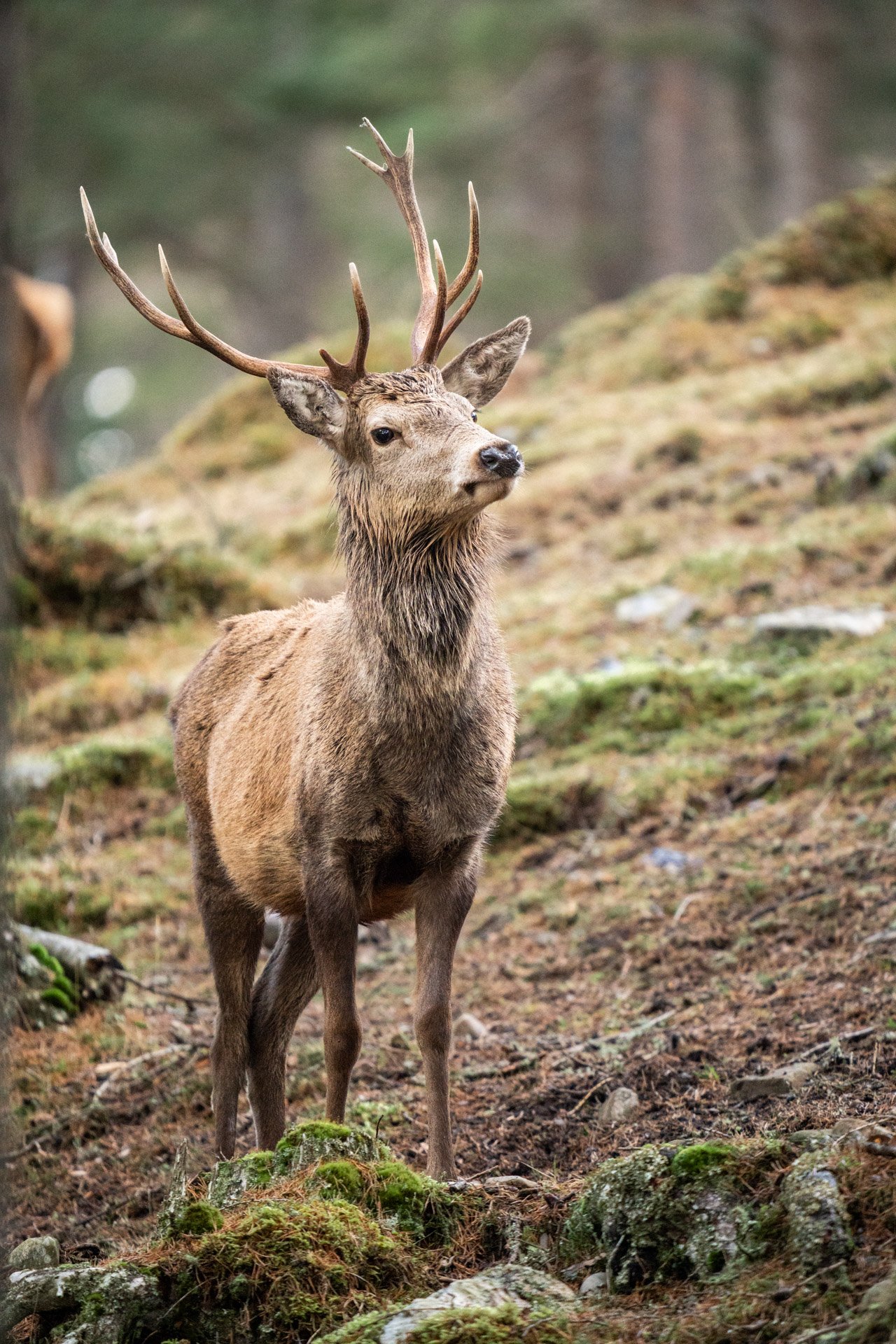 Wildlife Tour Day 3 _33.jpg