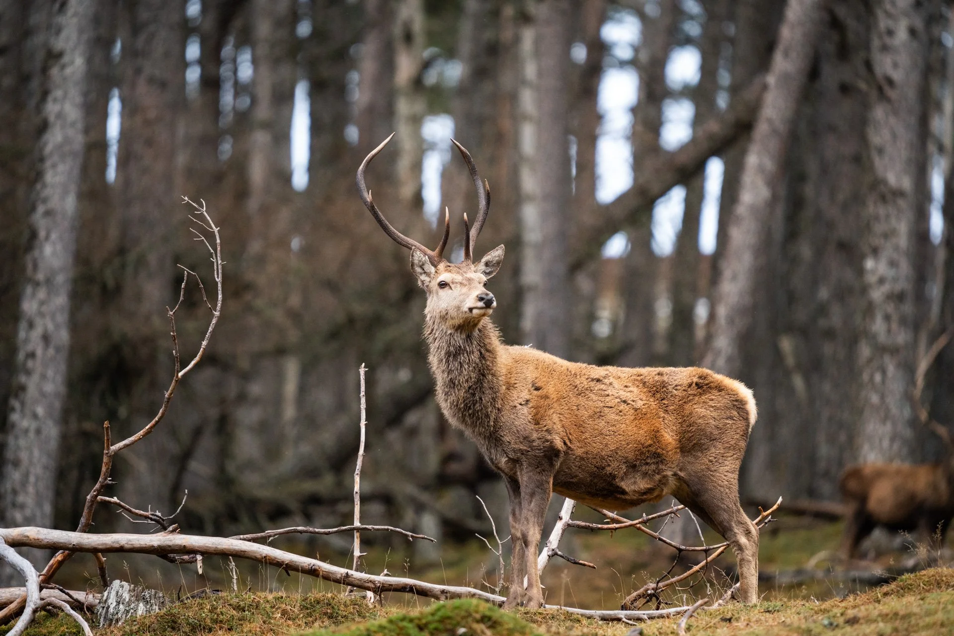 Wildlife Tour Day 3 _14.jpg