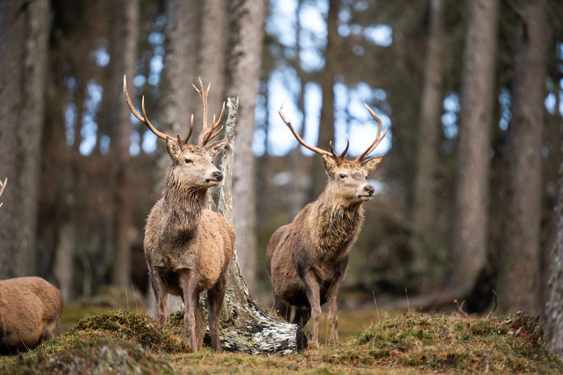 Wildlife Tour Day 3 _13.jpg