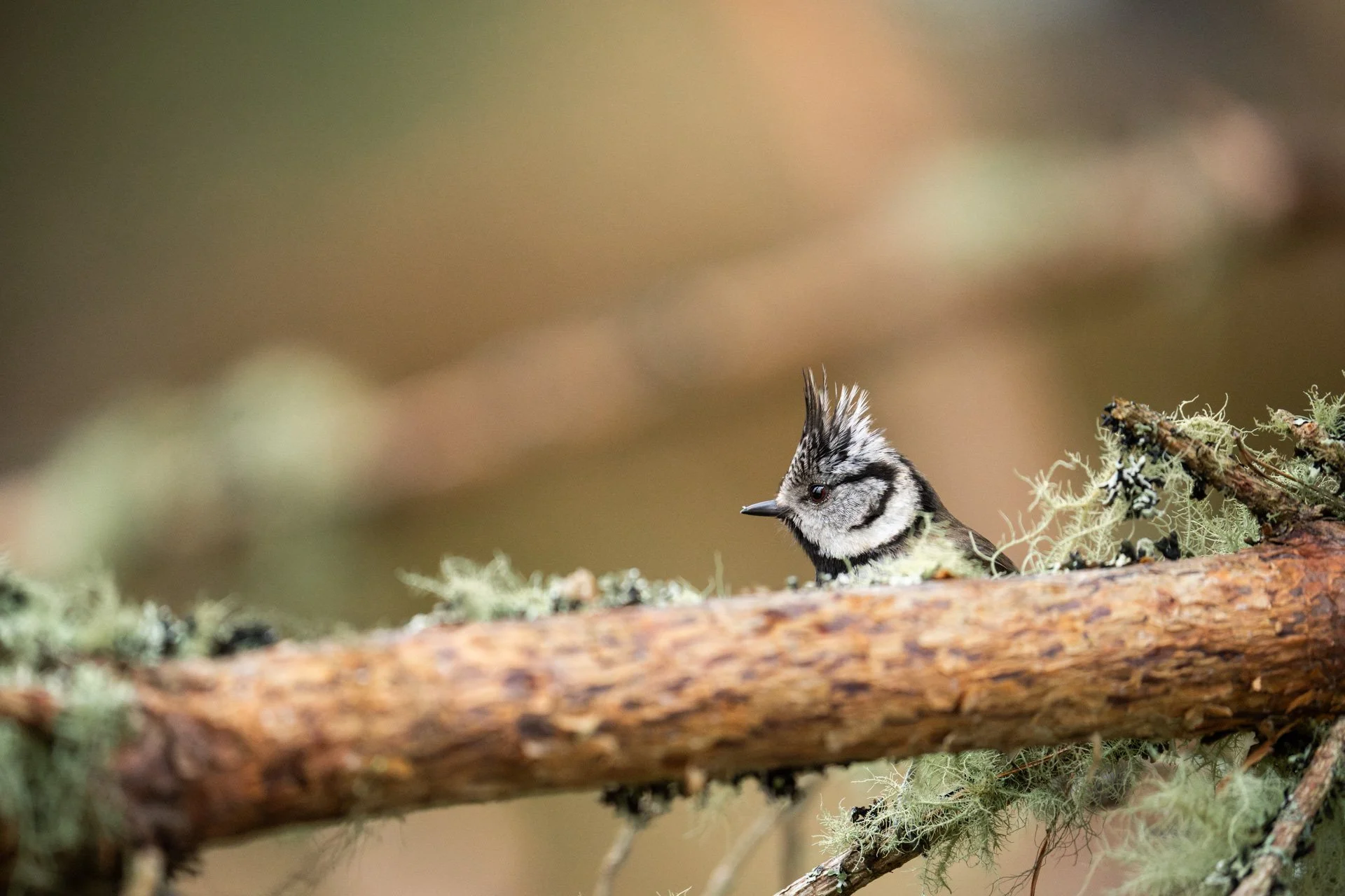 Wildlife Tour Day 3 _06.jpg