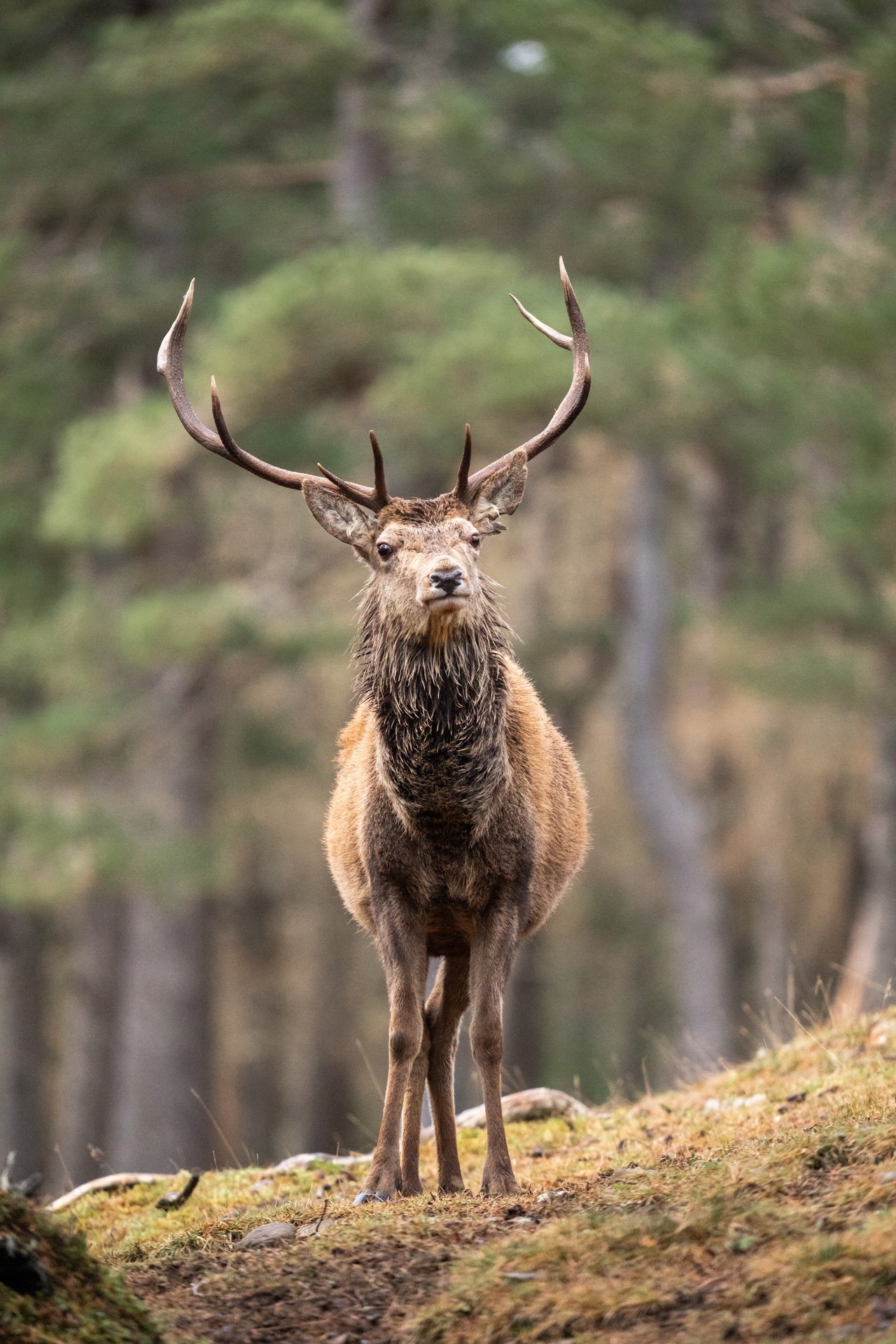 Wildlife Tour Day 3 _28.jpg