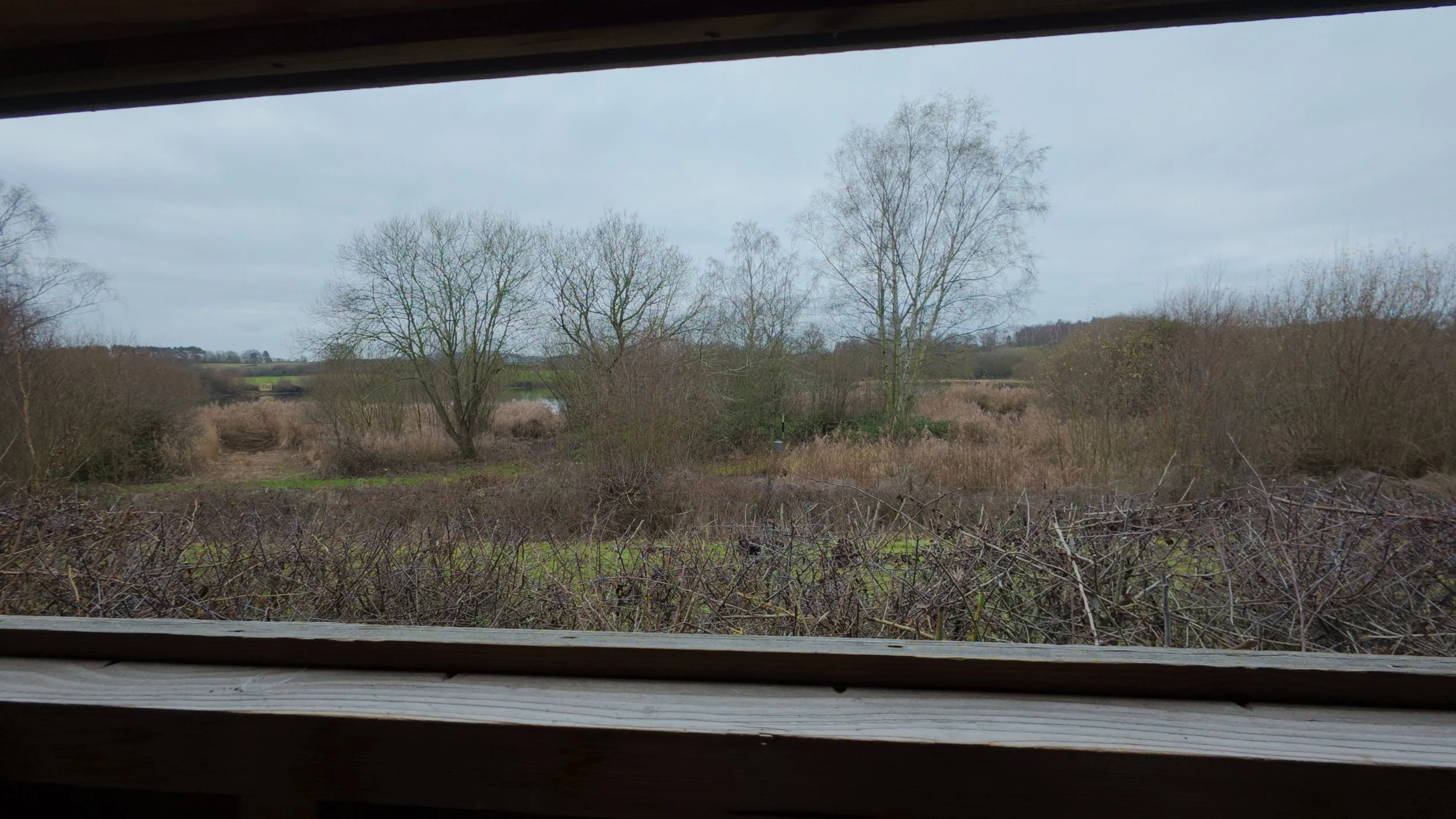 Venus Pools_2.56.1.jpg