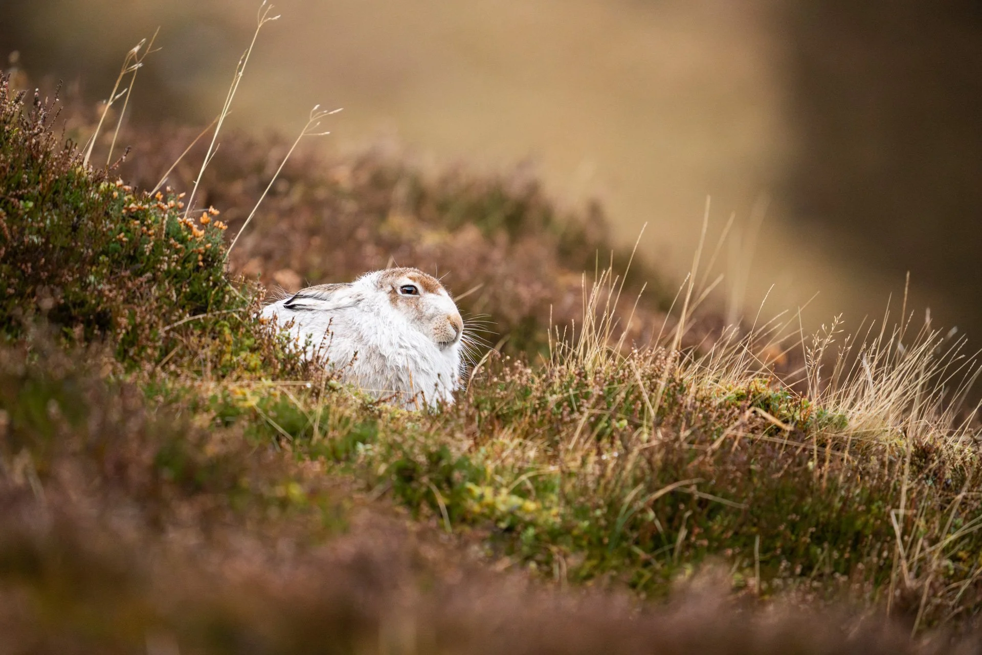 Winter Tour Day 2 _05.jpg