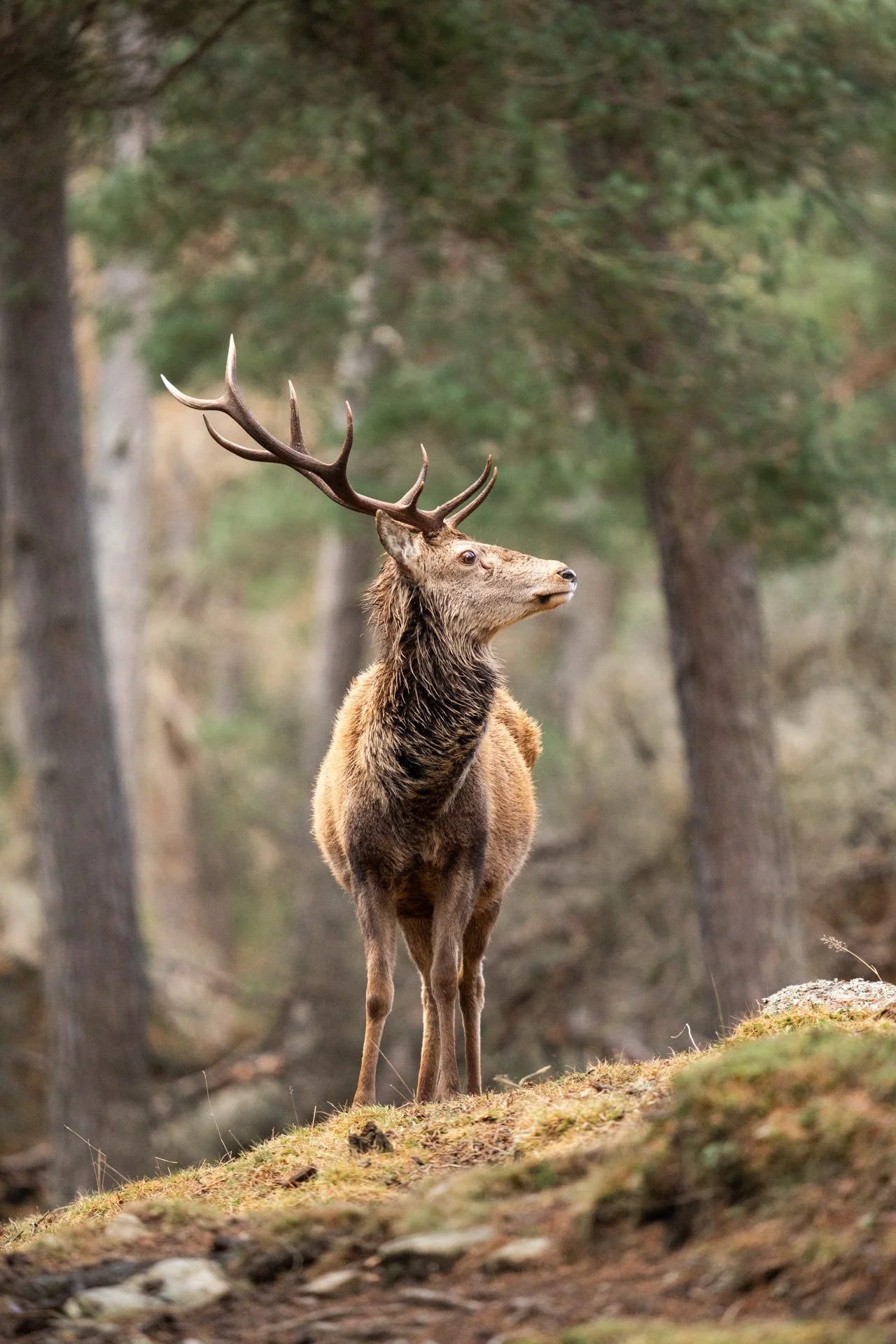 Wildlife Tour Day 3 _25.jpg