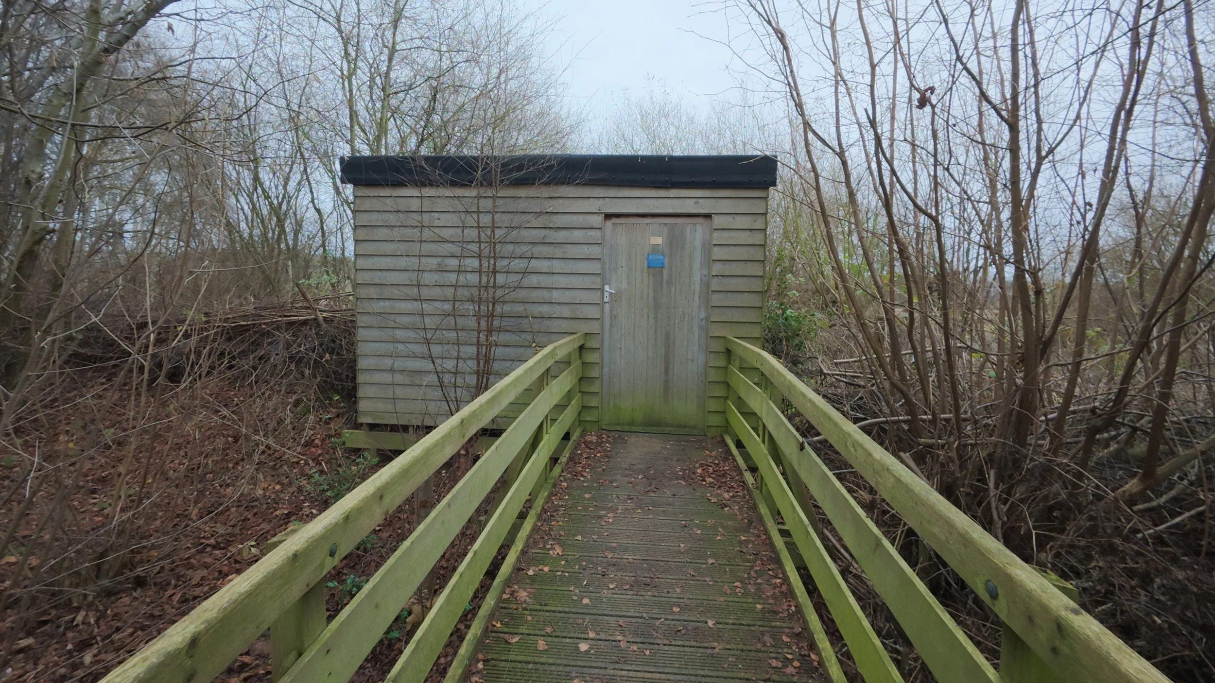 Venus p[ools_1.27.1.jpg