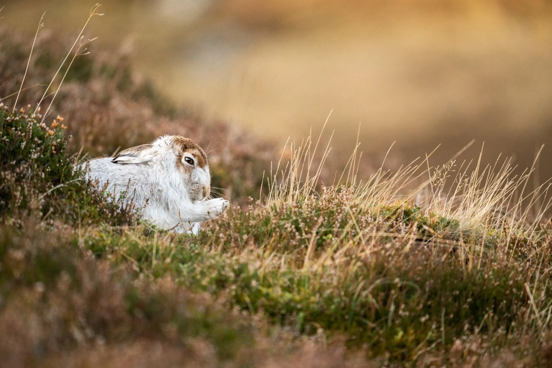 Winter Tour Day 2 _30.jpg