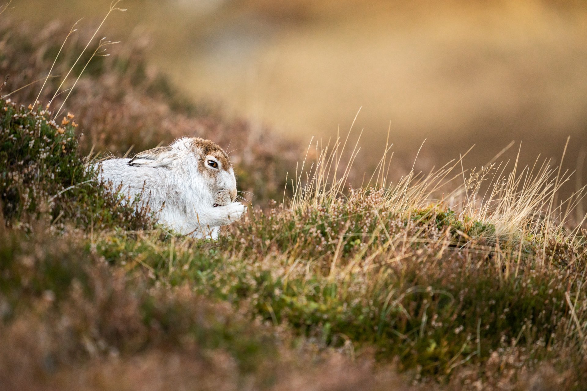 Winter Tour Day 2 _31.jpg