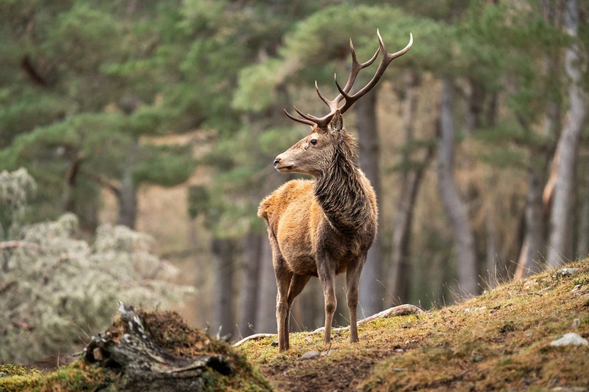 Wildlife Tour Day 3 _27.jpg