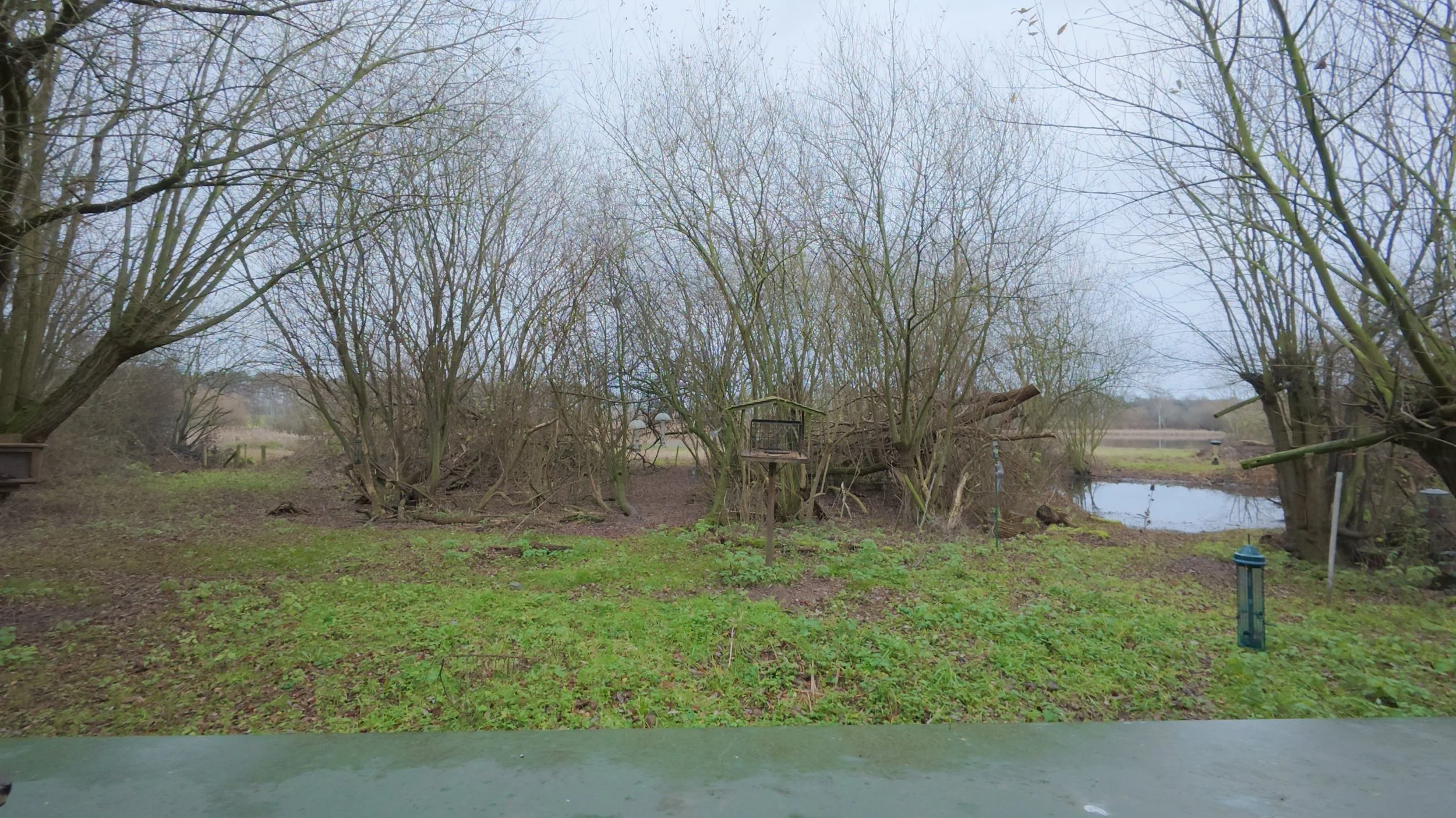 Venus Pools_2.11.1.jpg