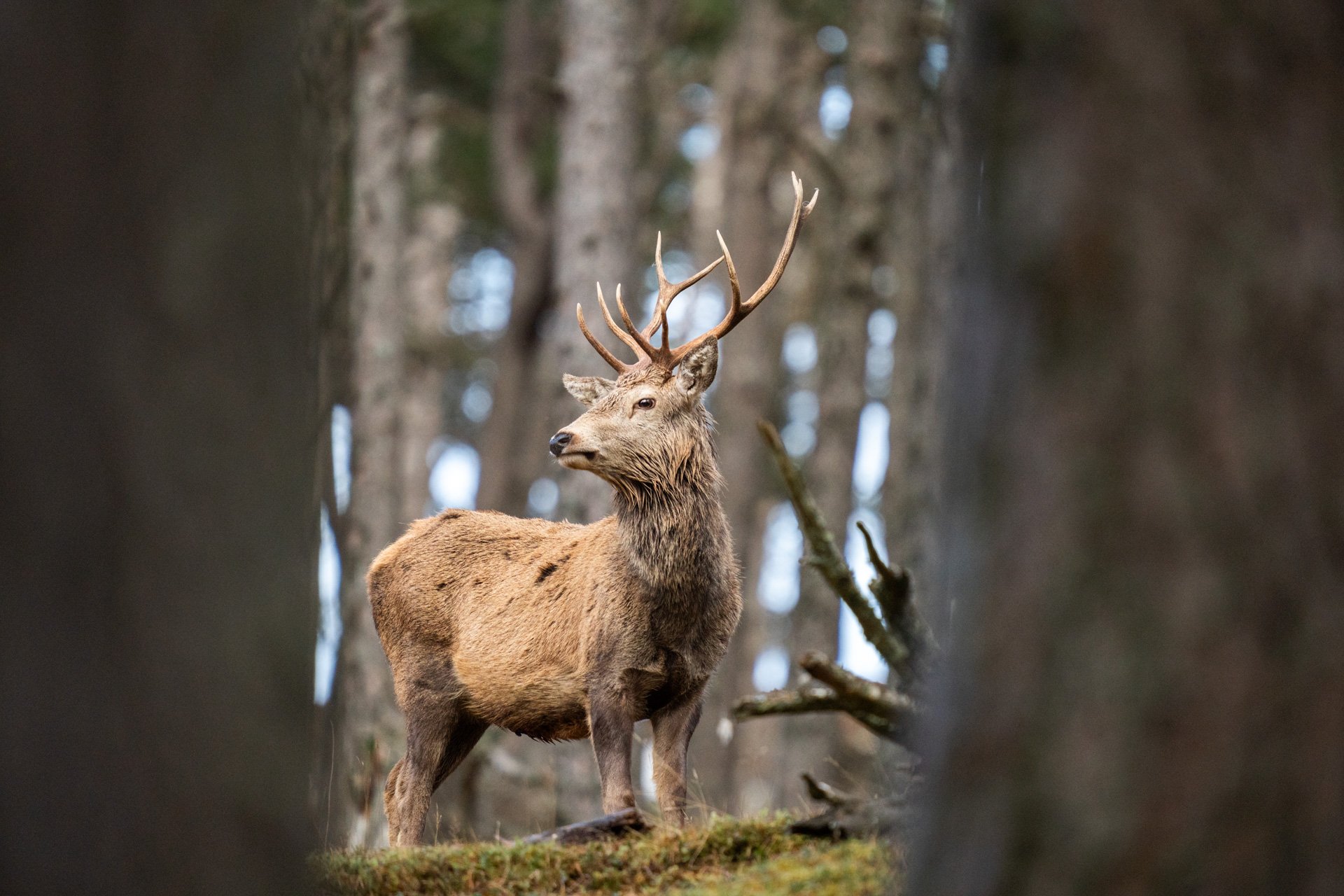 Wildlife Tour Day 3 _20.jpg