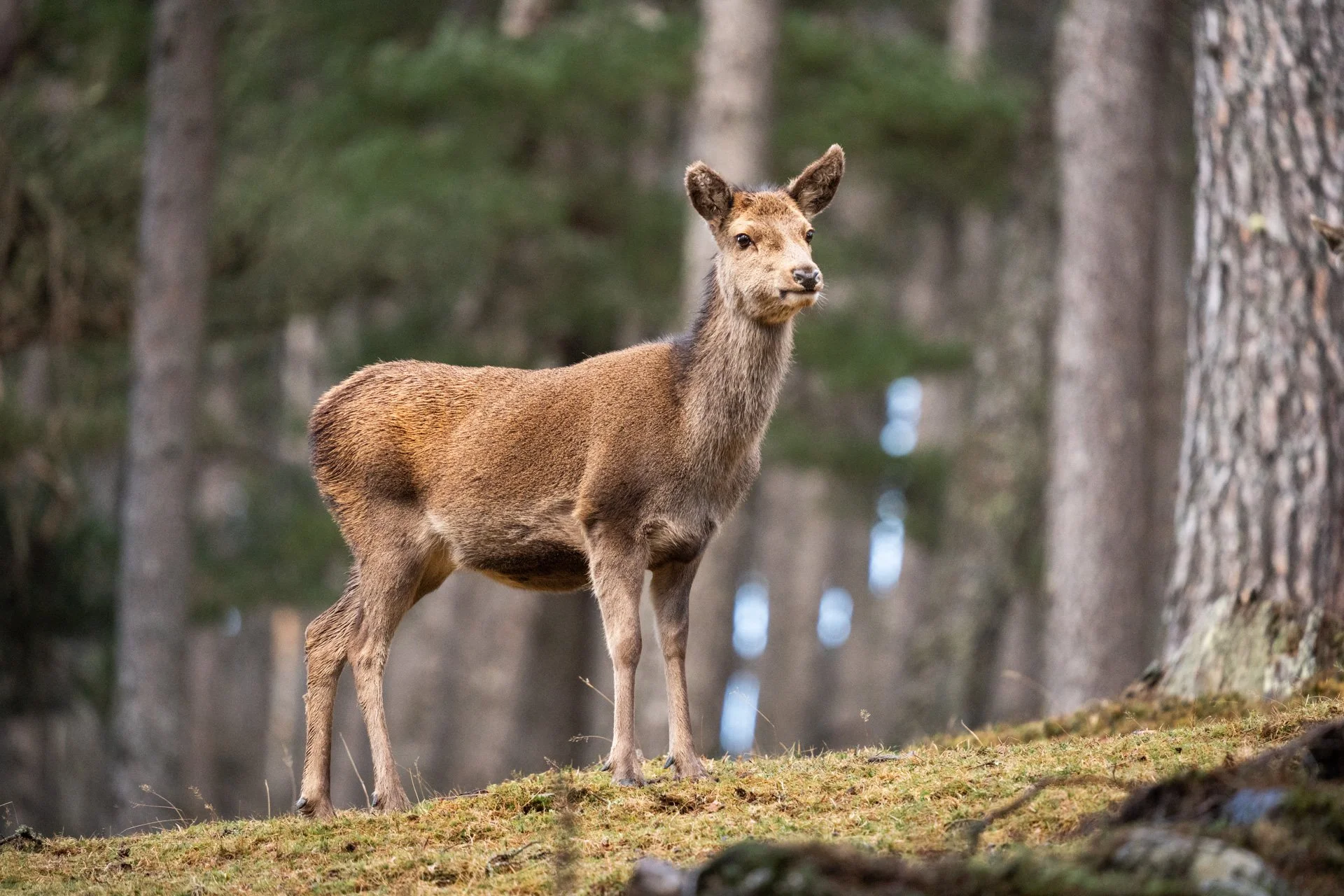 Wildlife Tour Day 3 _29.jpg