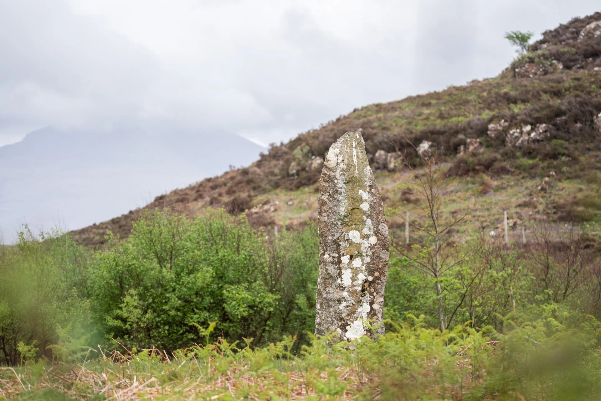 Ulva Photo Walk_06.jpg