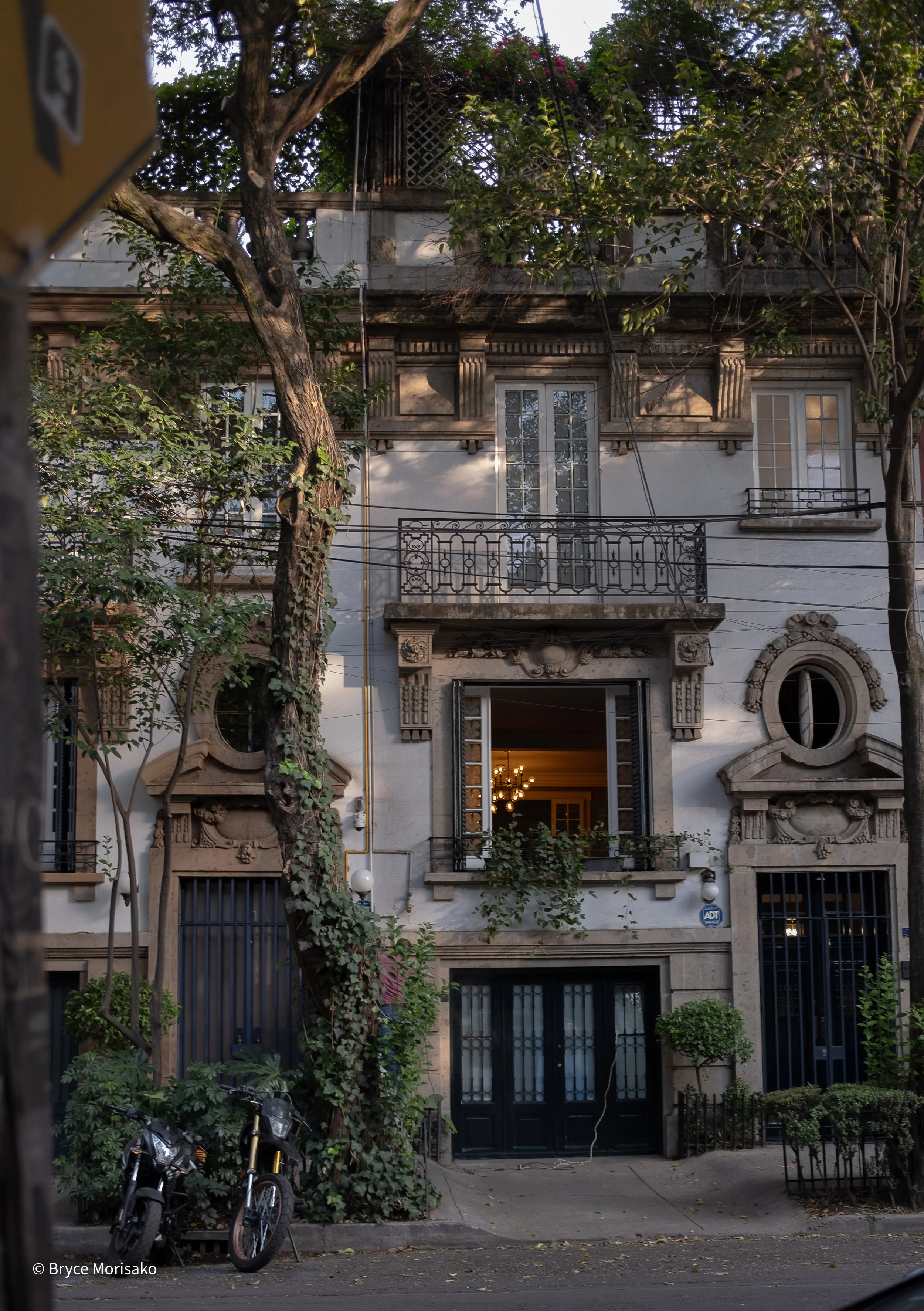 Roma Norte Neighborhood