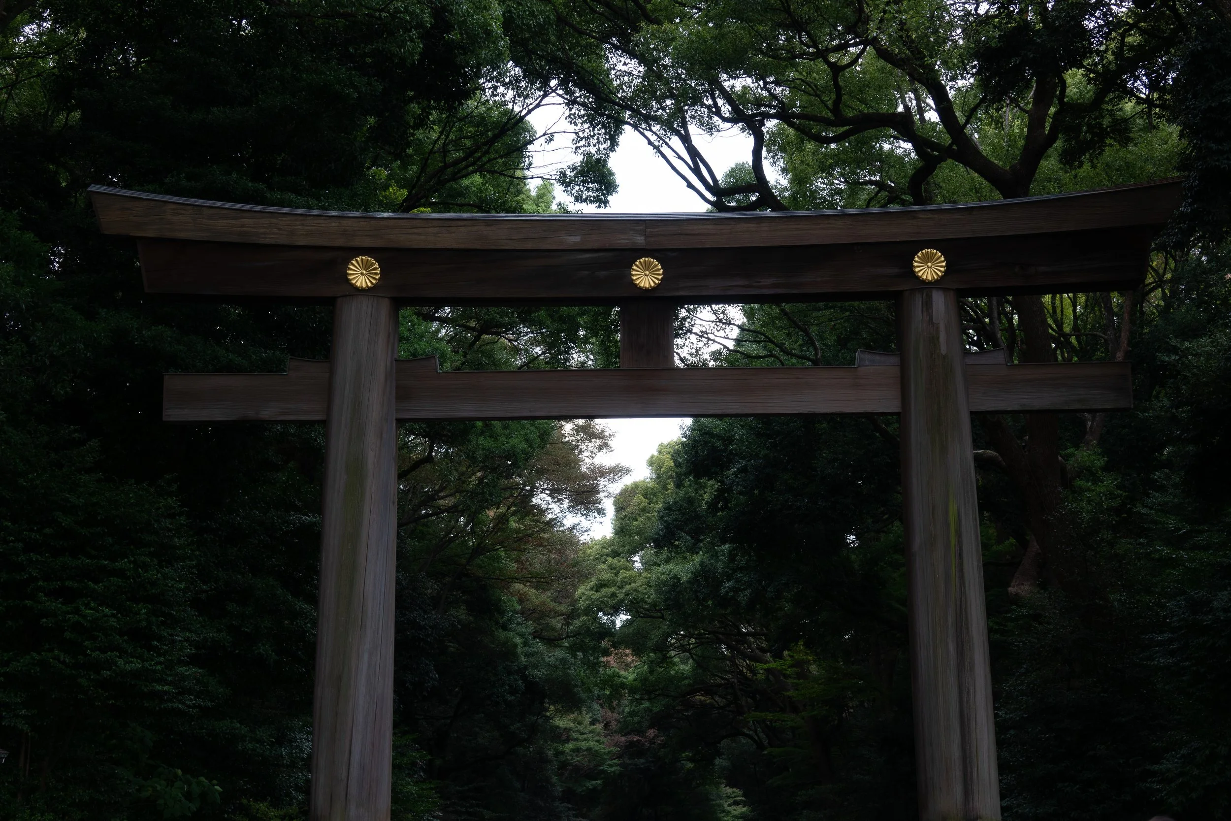 Meiji-jingu
