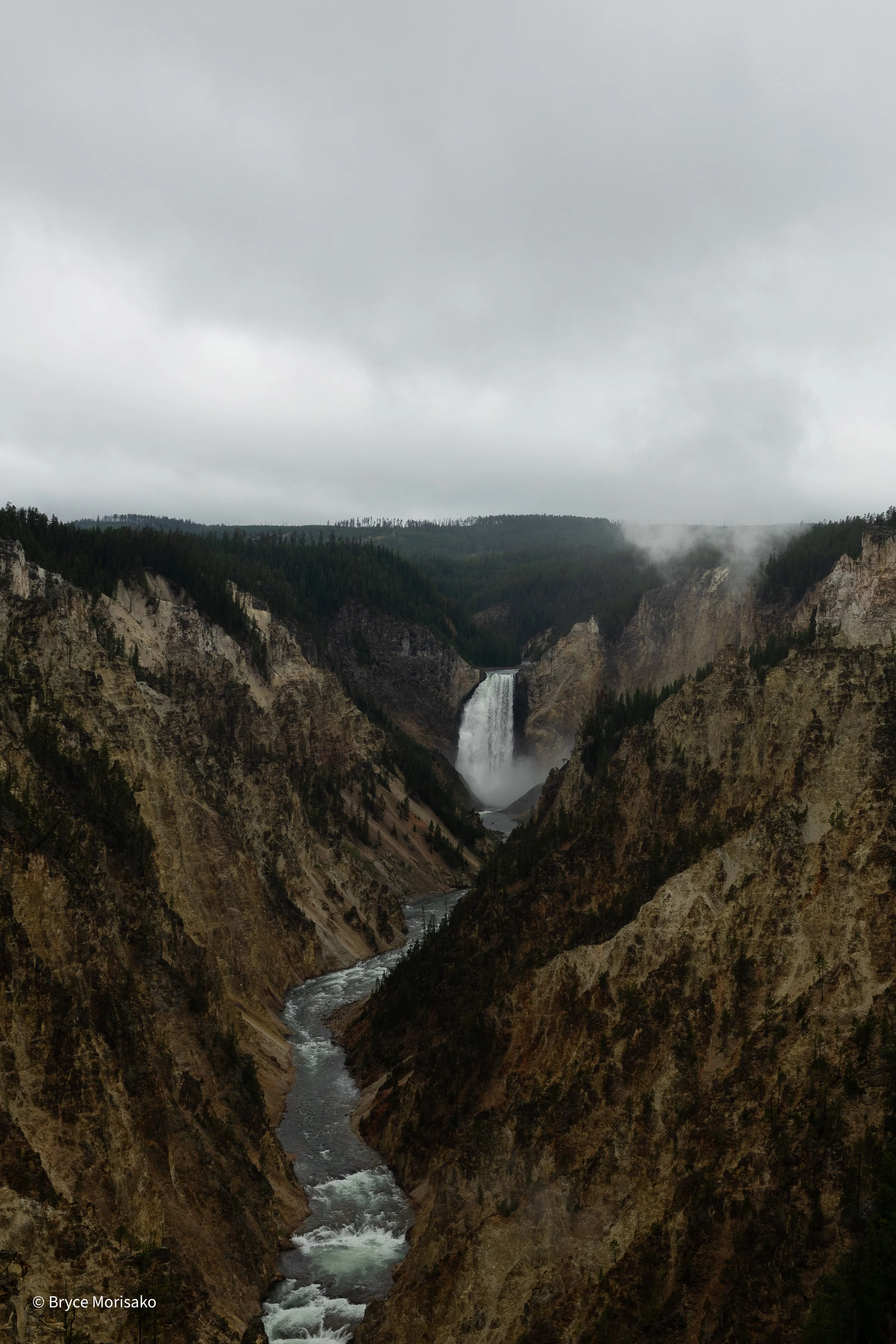 Yellowstone Falls