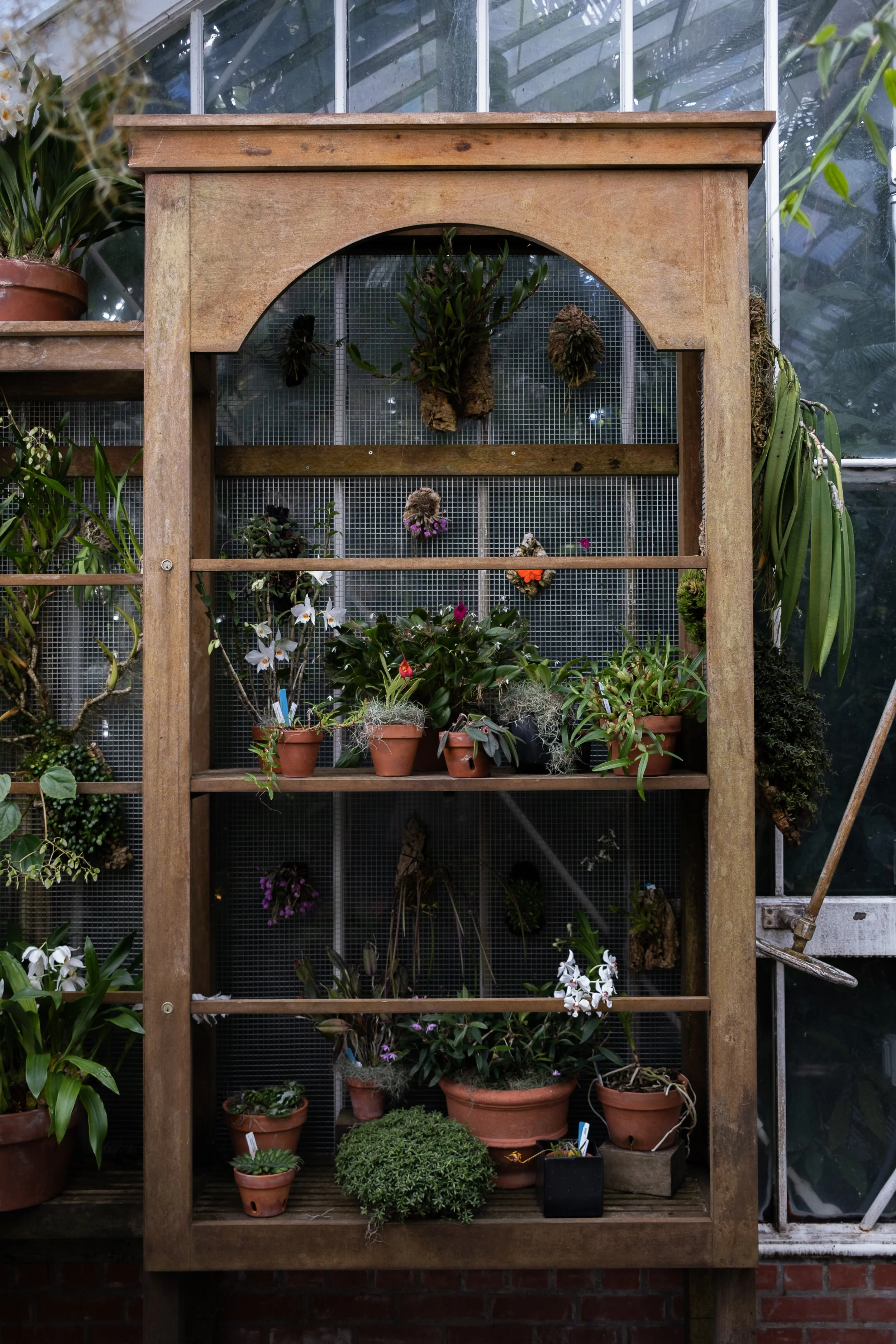 Convseratory of Flowers