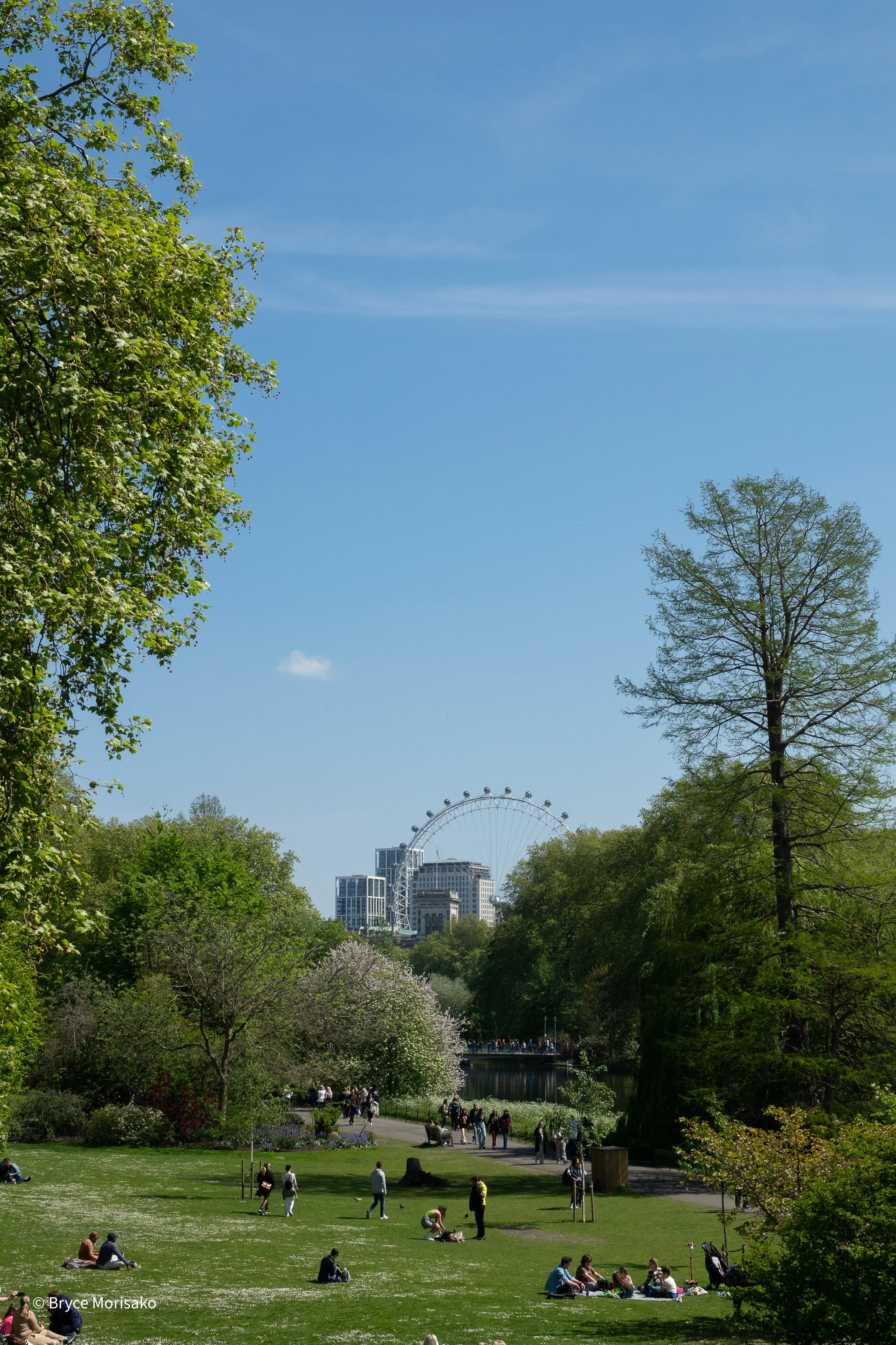 London Eye