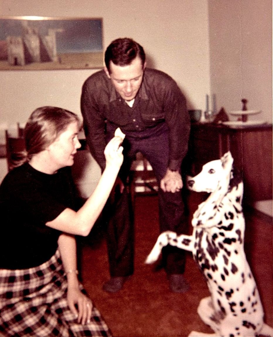 All in favor of the motion to make every weekend a long weekend?⁠
⁠
The ayes have it! Motion approved.⁠
⁠
#foundphoto #vintagephoto #vitagedog #1960s #dogsofinstagram #dalmation #savefamilyphotos #photostory #whatsyourstory #pixorium #pixoriumatl
