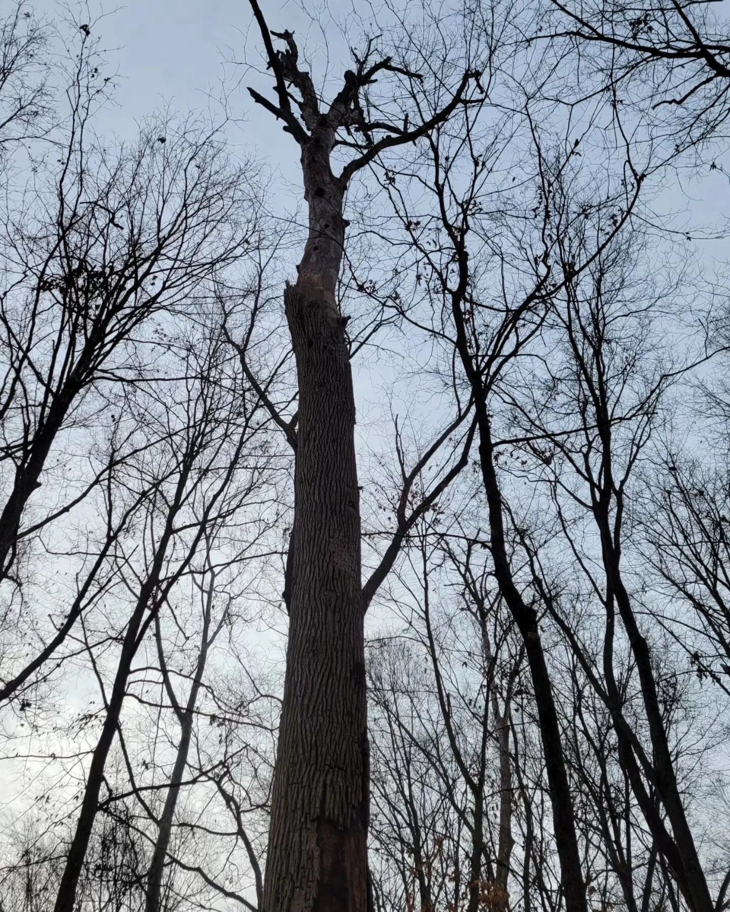 A few more. There's something interesting everywhere I turn out on this trail!