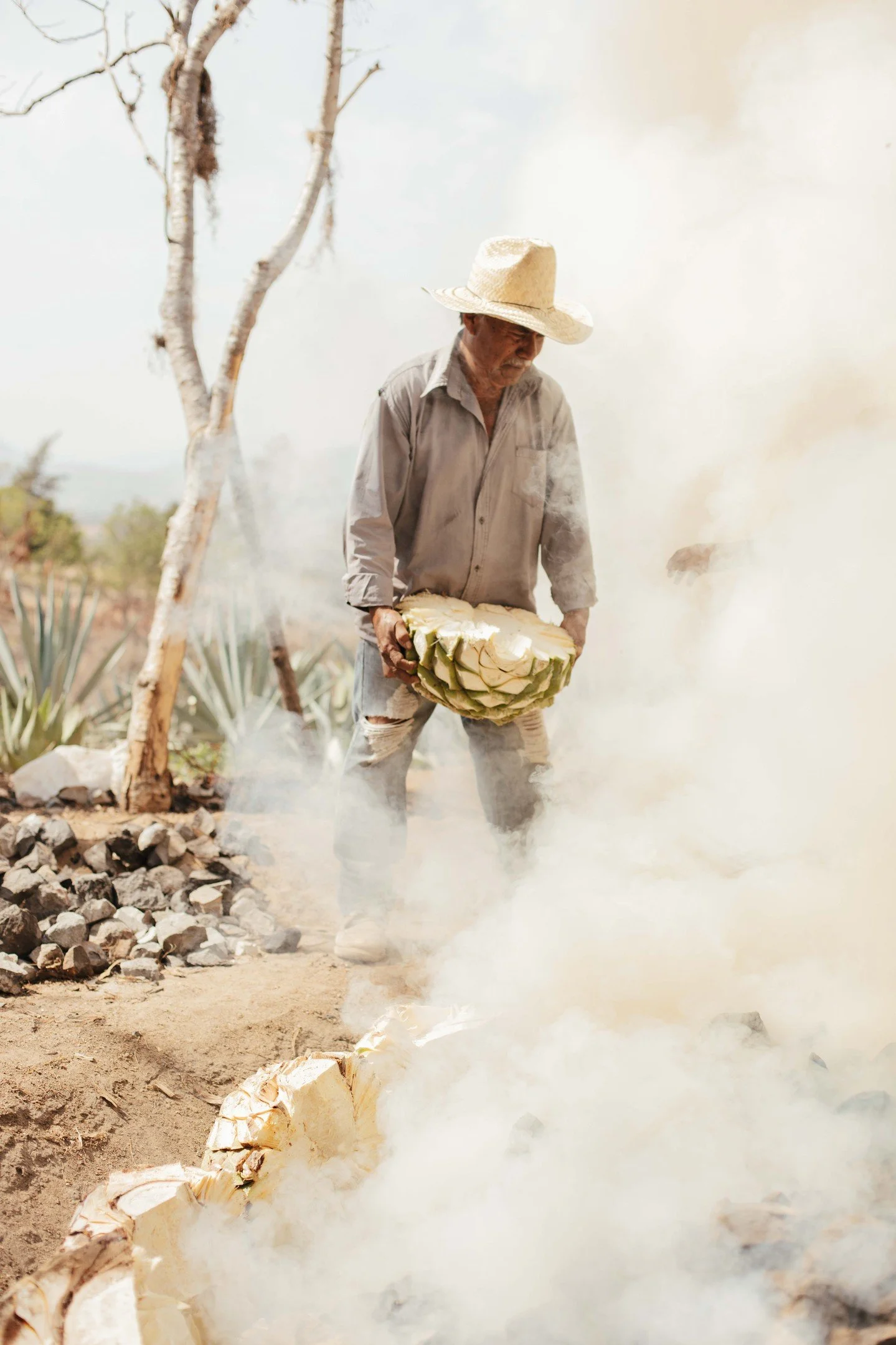 Behind every pour of T.O. Mezcal is the heart and soul of our incredible team of mezcaleros. 🌵🔥 With generations of knowledge, skill, and passion, they transform agave into the smoky-smooth spirit you know and love. 🥃✨

This isn&rsquo;t just a job