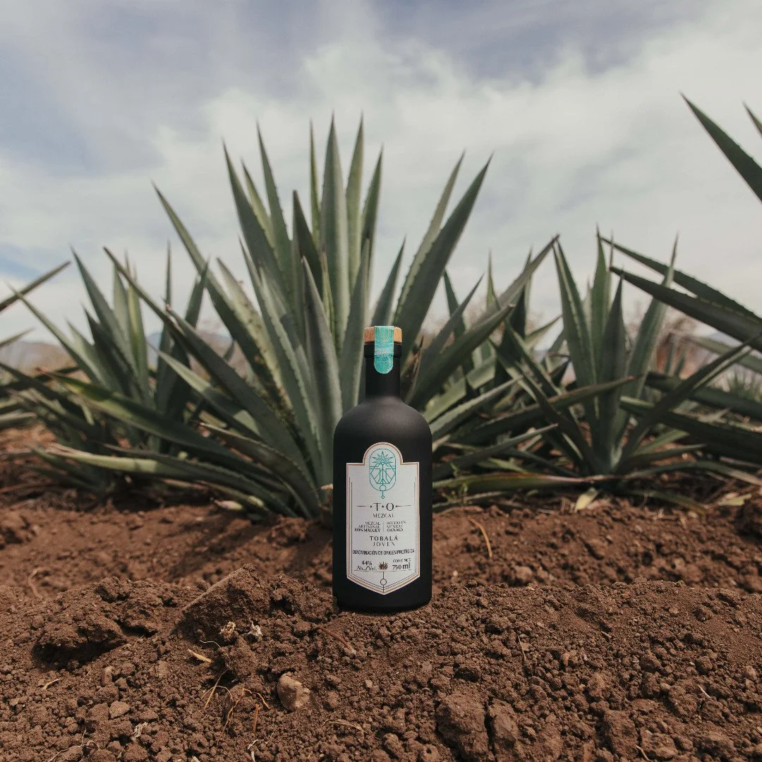 🌵✨ Agave 101: Why Terroir Matters

From the rocky highlands to sun-soaked valleys, every region gives agave its own unique fingerprint. 🌞⛰️ The soil, the altitude, the climate &mdash; they all shape the flavor, aroma, and soul of mezcal.

At T.O. M