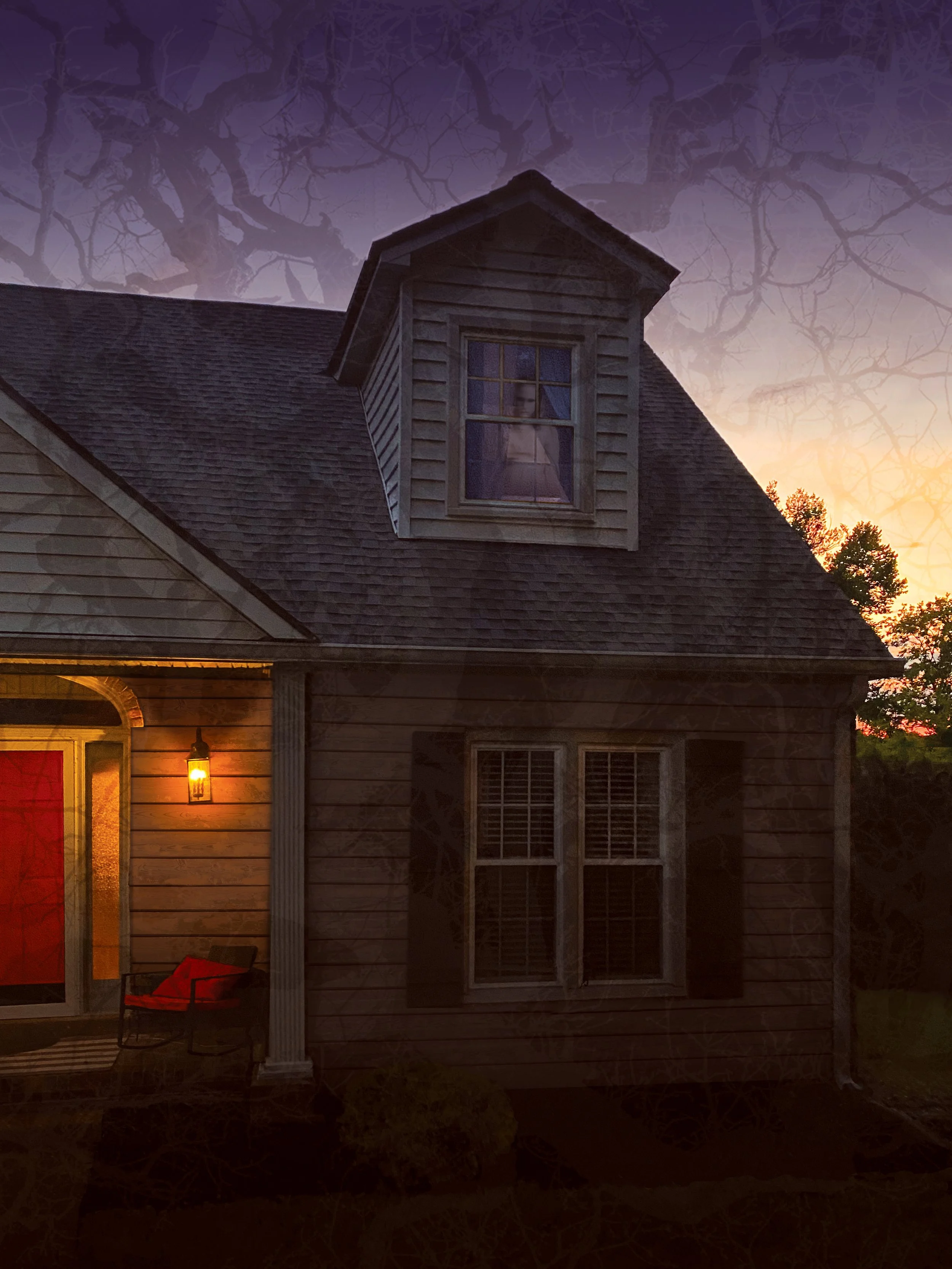 THE GHOST IN THE WONDOW HOUSE.jpg