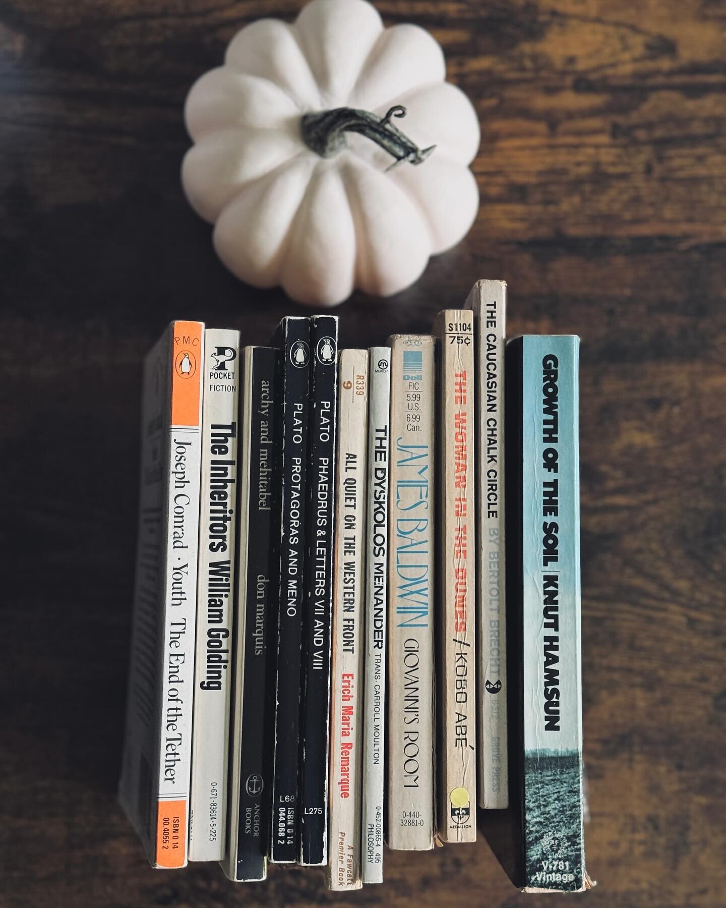Some new copies I got in the snowstorm. It is alright to wish your books a very Happy Val's Day! ❤️

__
#massmarket #pocketbook #classicbooks #paperback #paperbacks #readeveryday #fictionintranslation #bookaddict #booksbooksbooks #bookworm #bookpic