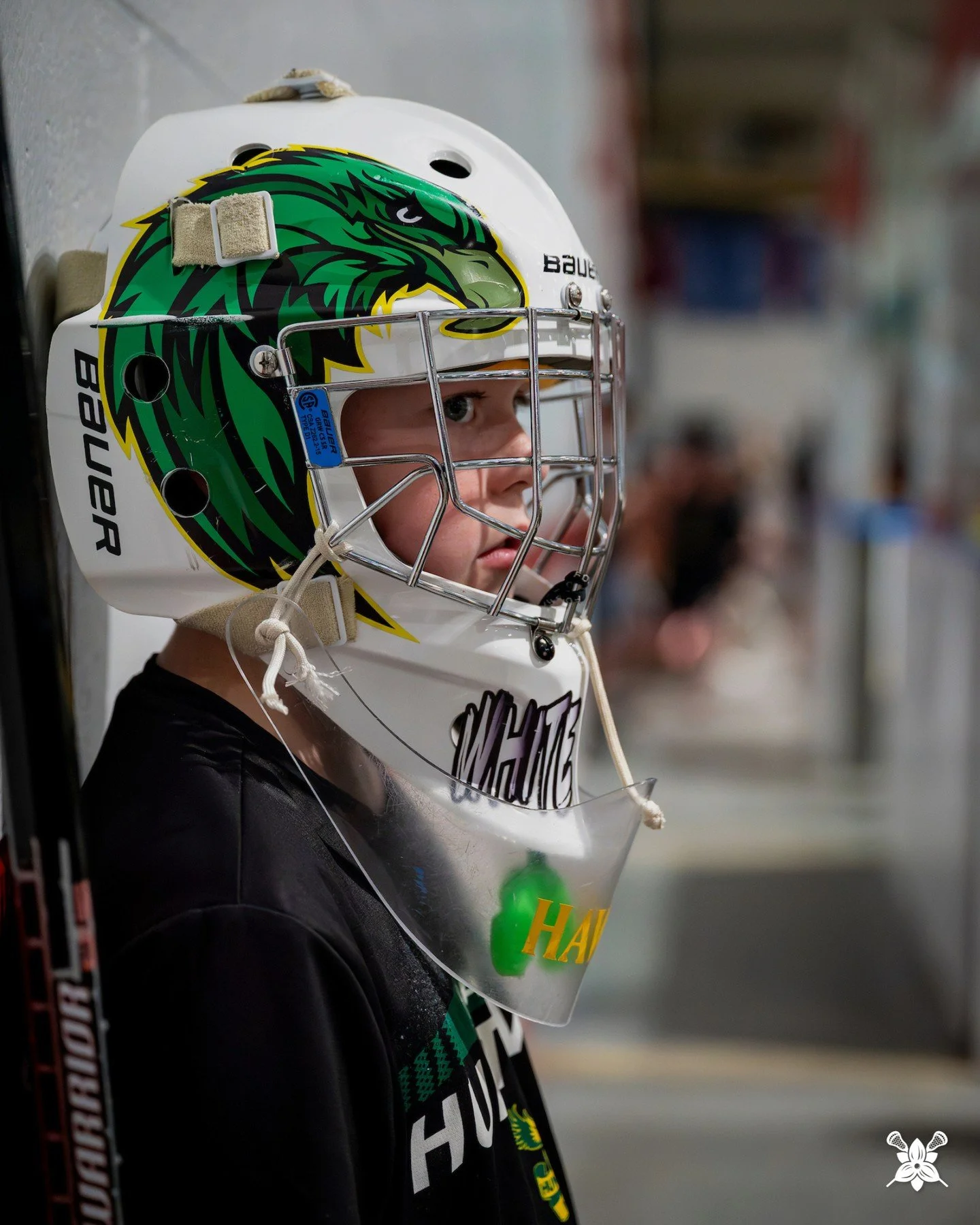 plotting the next save.