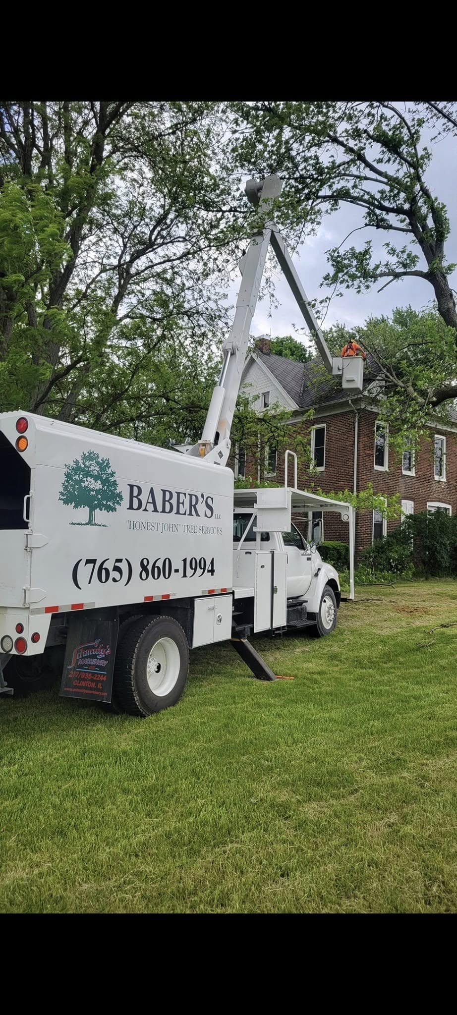 Why May Storms Put Trees at Risk in Kokomo
