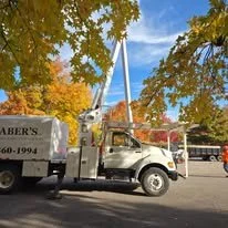 Why Fall Is a Good Time to Plant Trees in Indiana