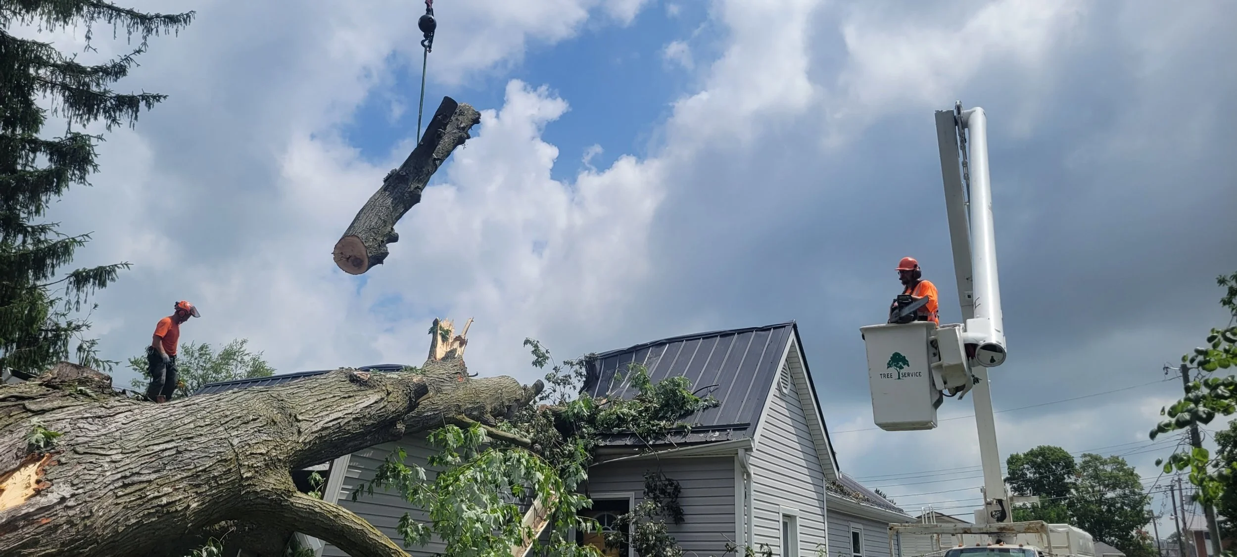 Services 3 Baber's "Honest John" Tree Service Tree Service