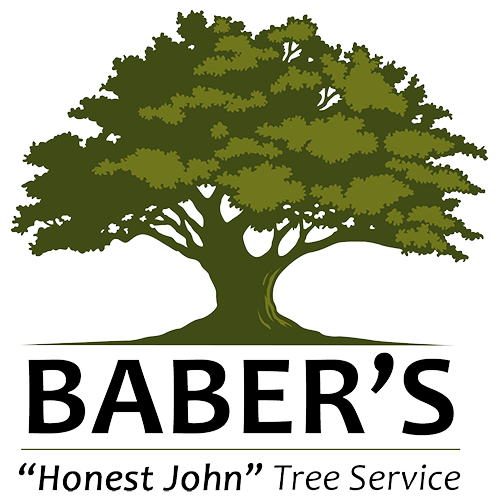 Baber&#39;s &quot;Honest John&quot; Tree Service