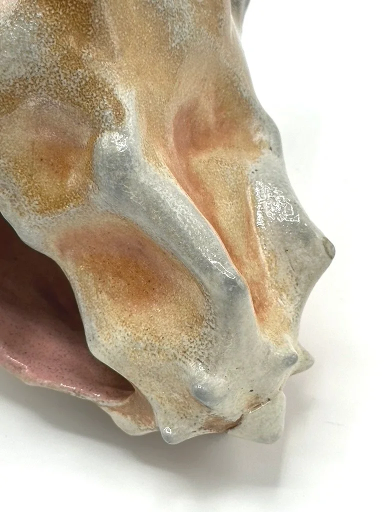 The Conch (2024)