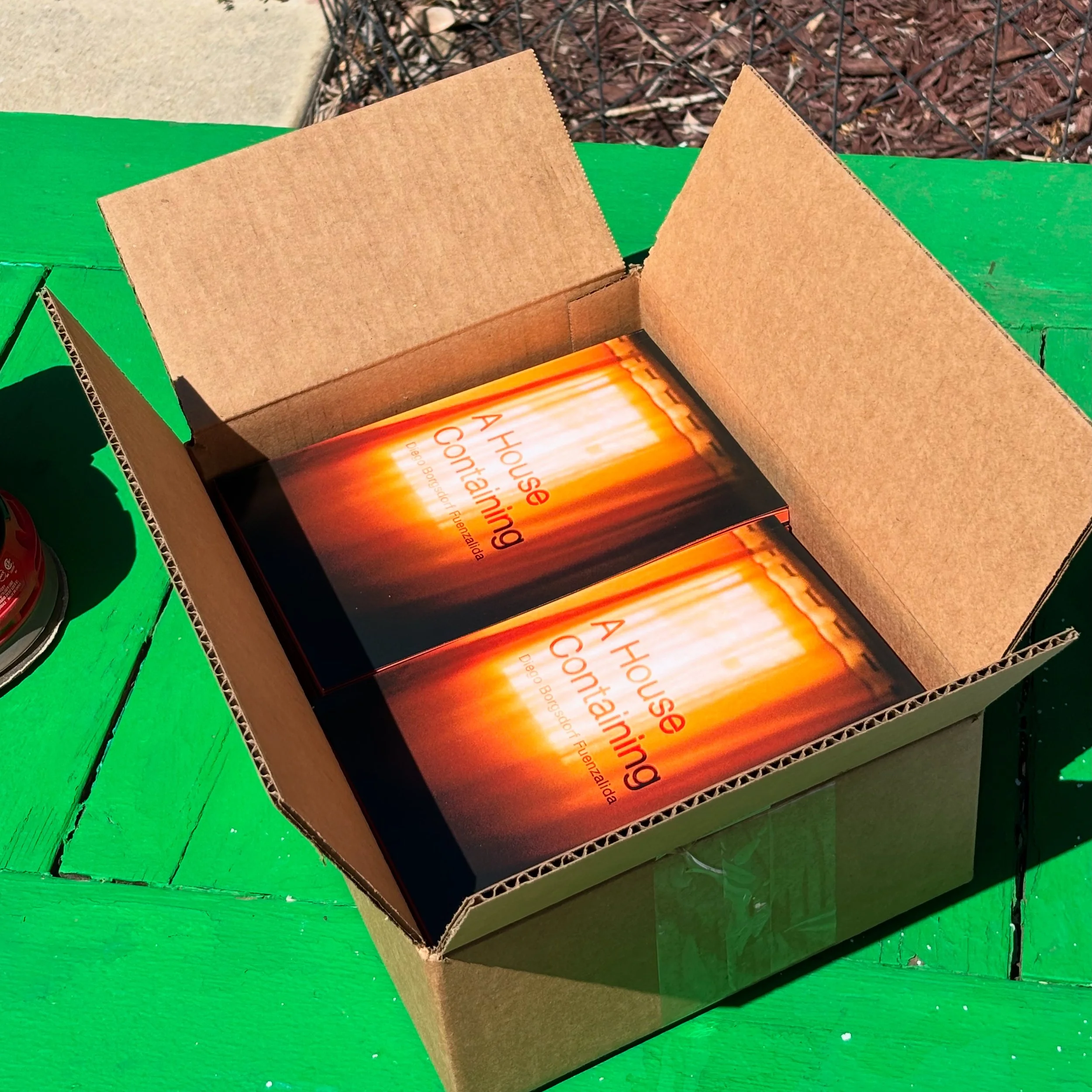 A House Containing Artist Book