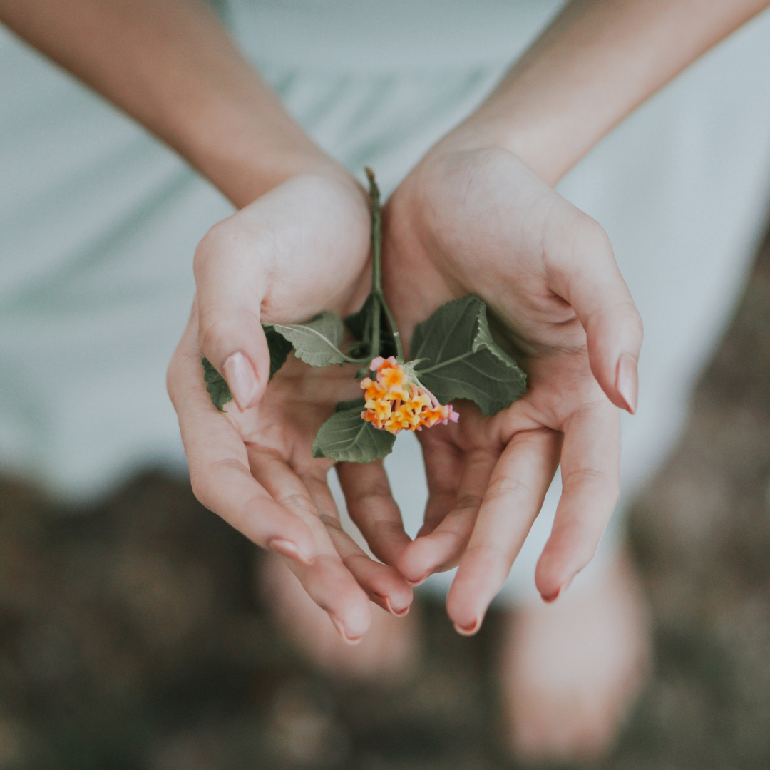 Is The Wisdom Within™ Somatic Practitioner Training Right for You? 6 Signs It Might Be Your Next Step