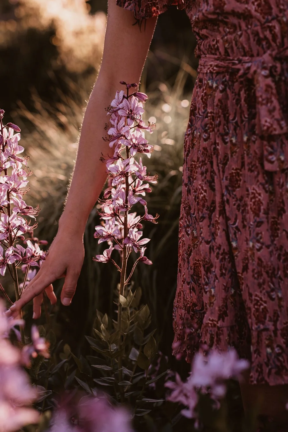 Woman in a floral dress gently reaching for wild purple flowers, reflecting the body-led approach of The School of Somatic Leadership for Women