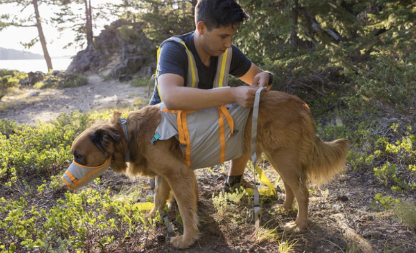 Screenshot 2026-01-10 at 8.20.28 PM.png