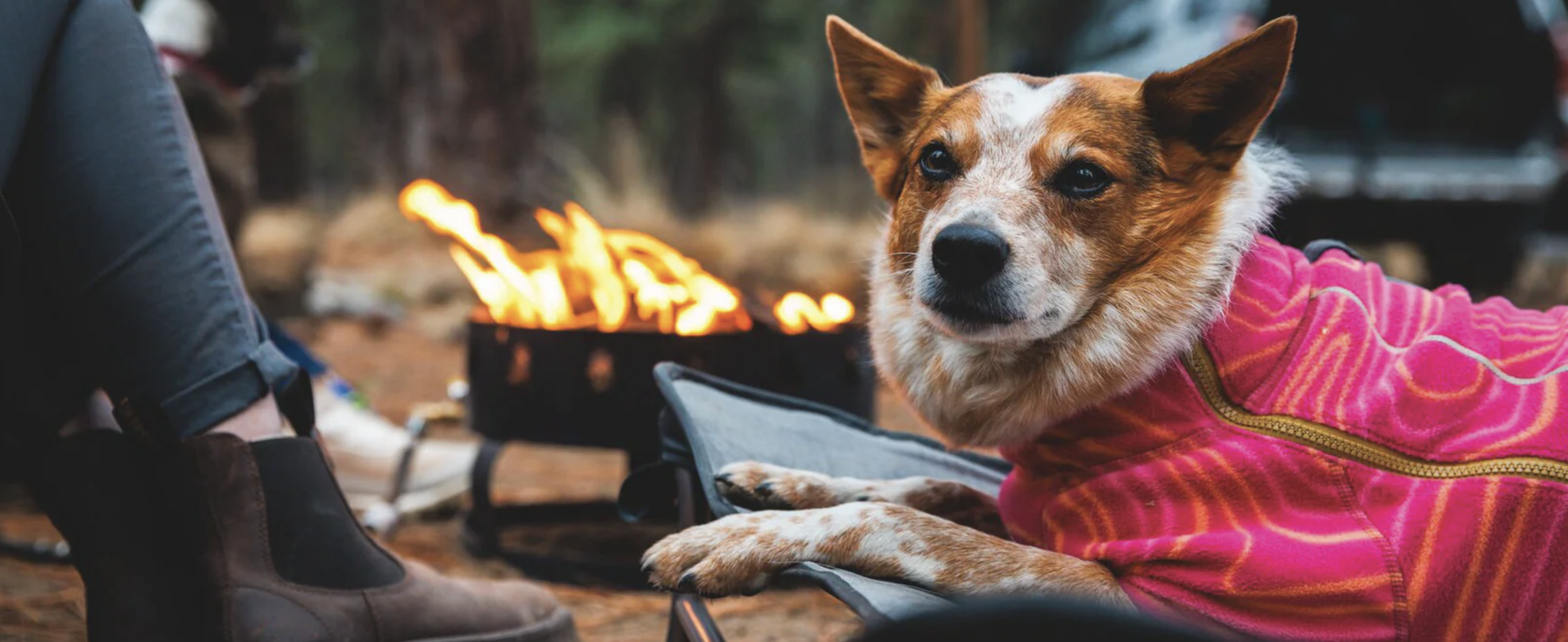 Screenshot 2026-01-10 at 8.35.10 PM.png