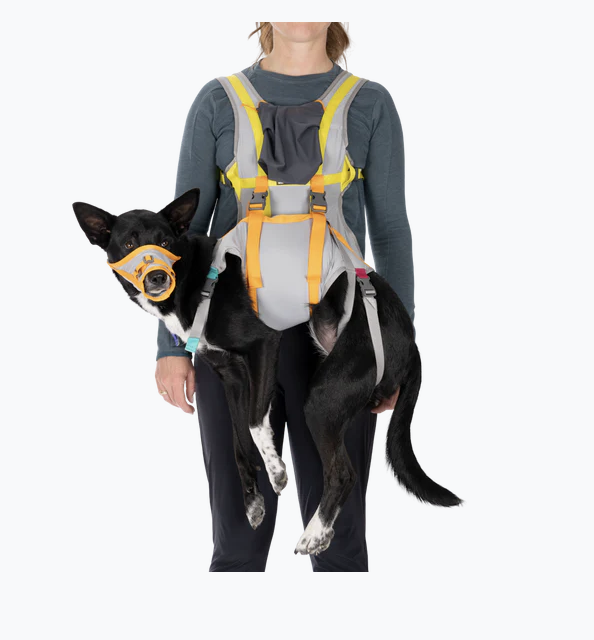 Screenshot 2026-01-10 at 8.20.47 PM.png